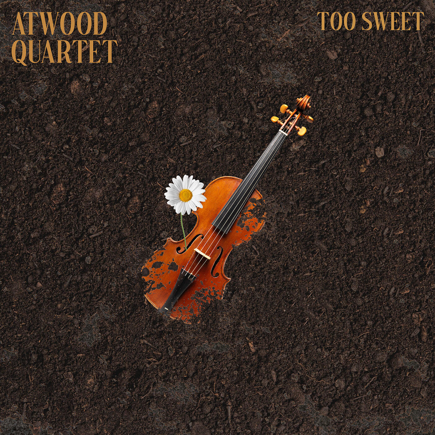 Релиз Too Sweet
