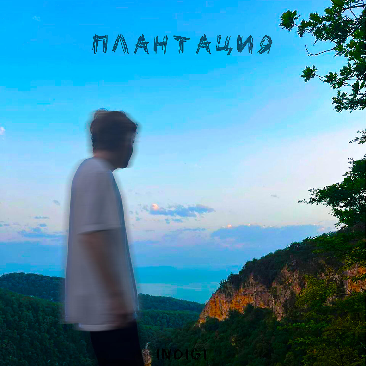 Релиз Плантация