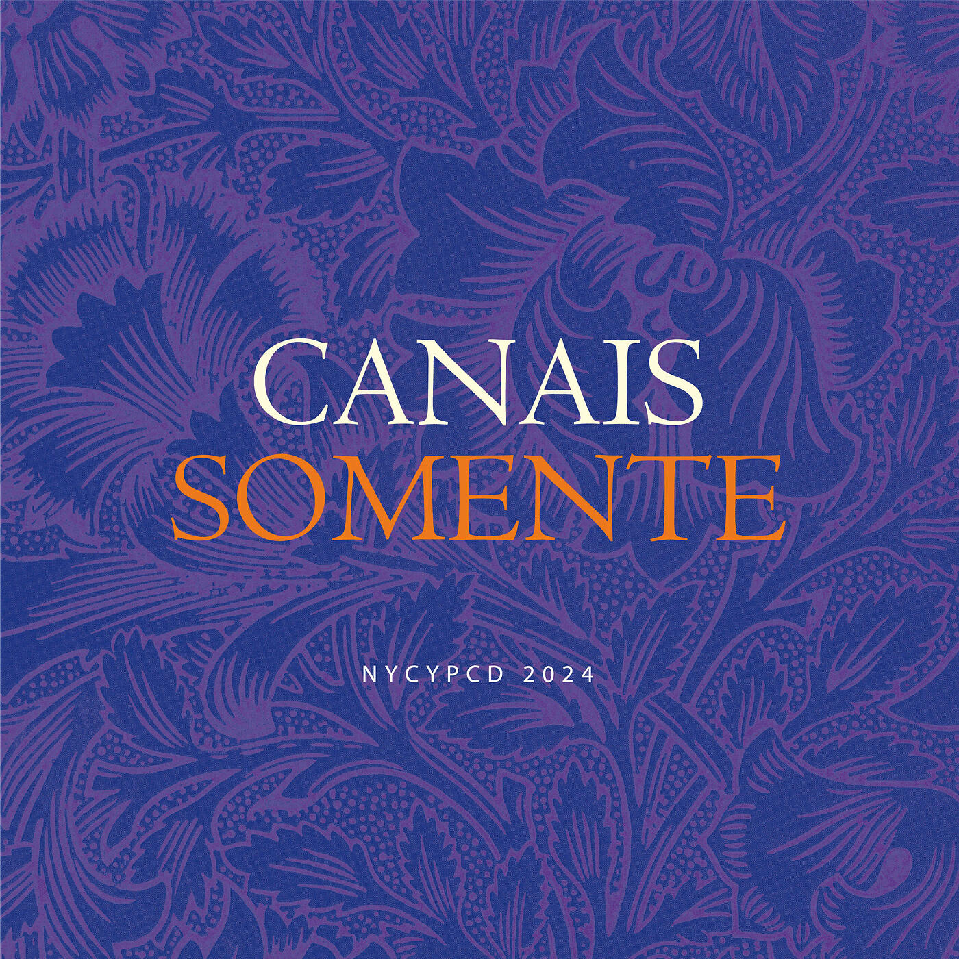 Релиз Canais Somente