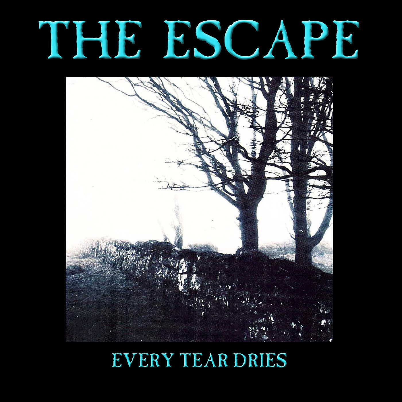 Релиз Every Tear Dries