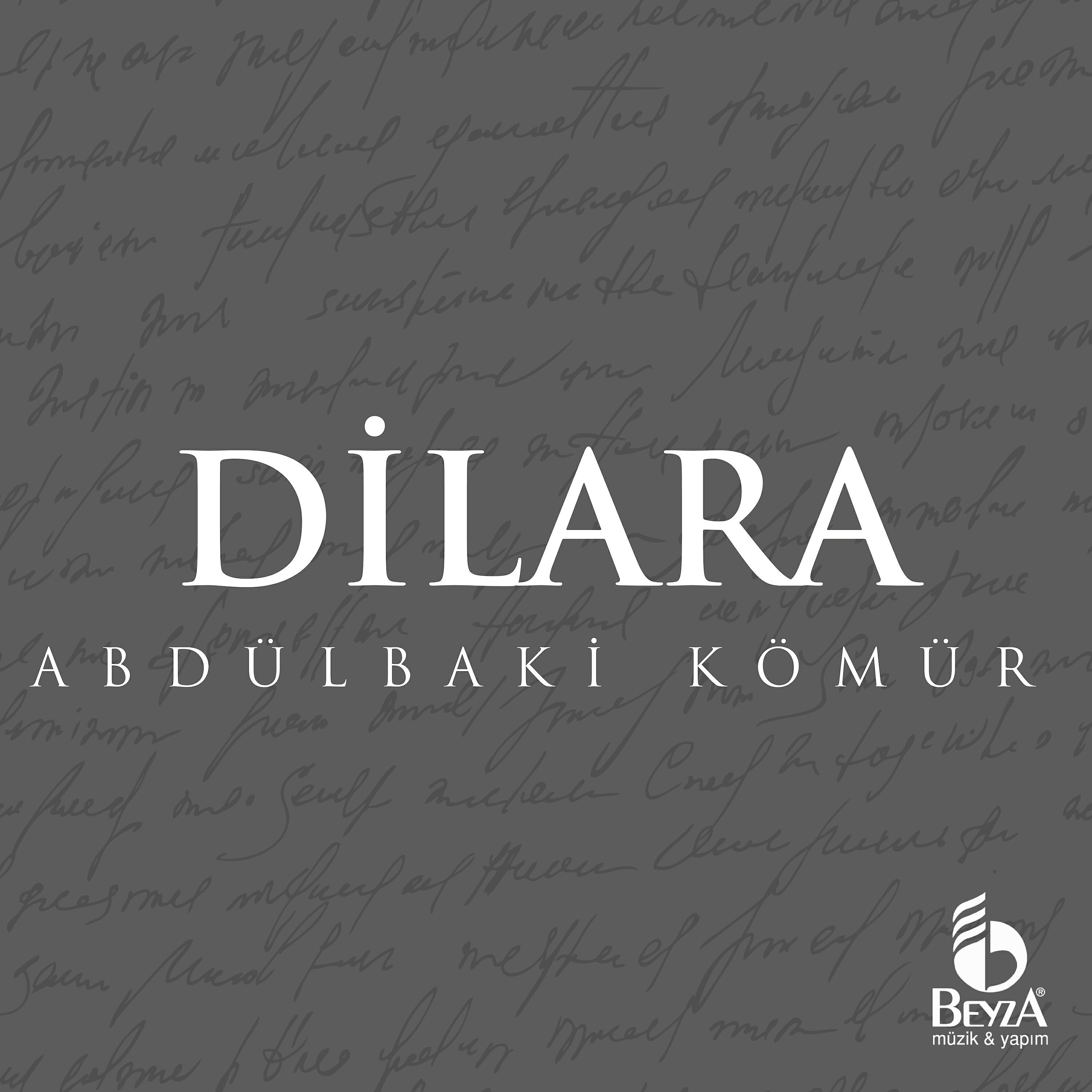 Релиз Dilara