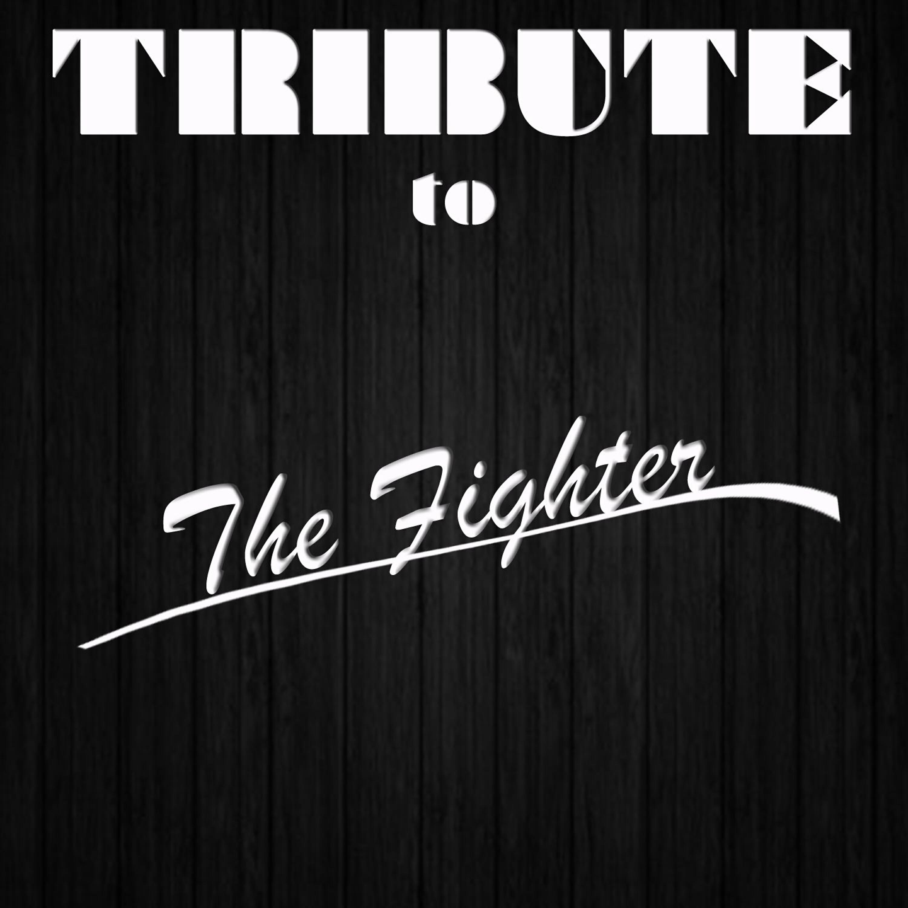 Релиз The Fighter (Tribute To Gym Class Heroes feat. Ryan Tedder)