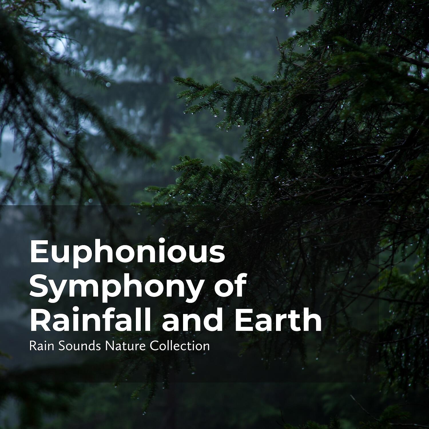 Релиз Euphonious Symphony of Rainfall and Earth