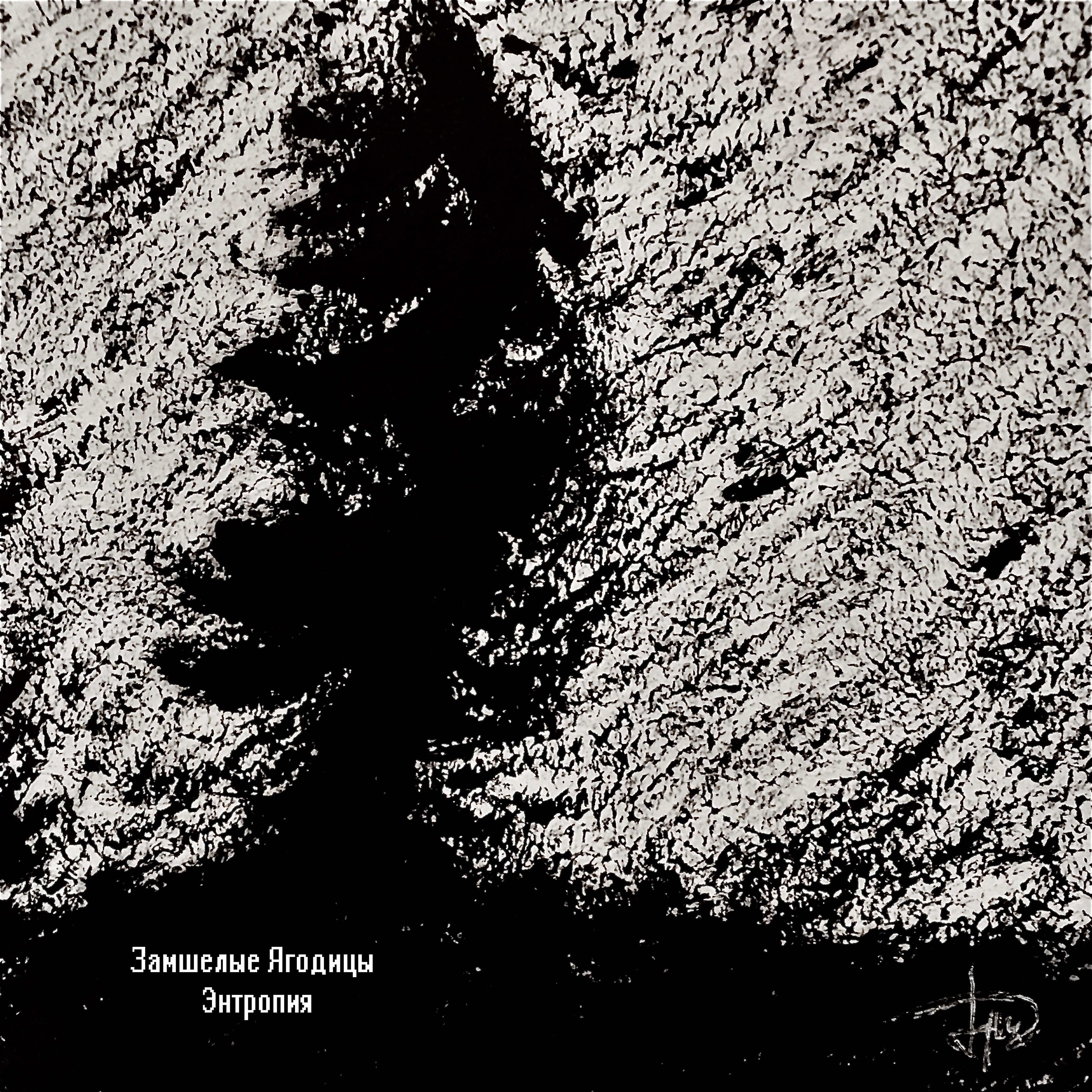 Релиз Энтропия