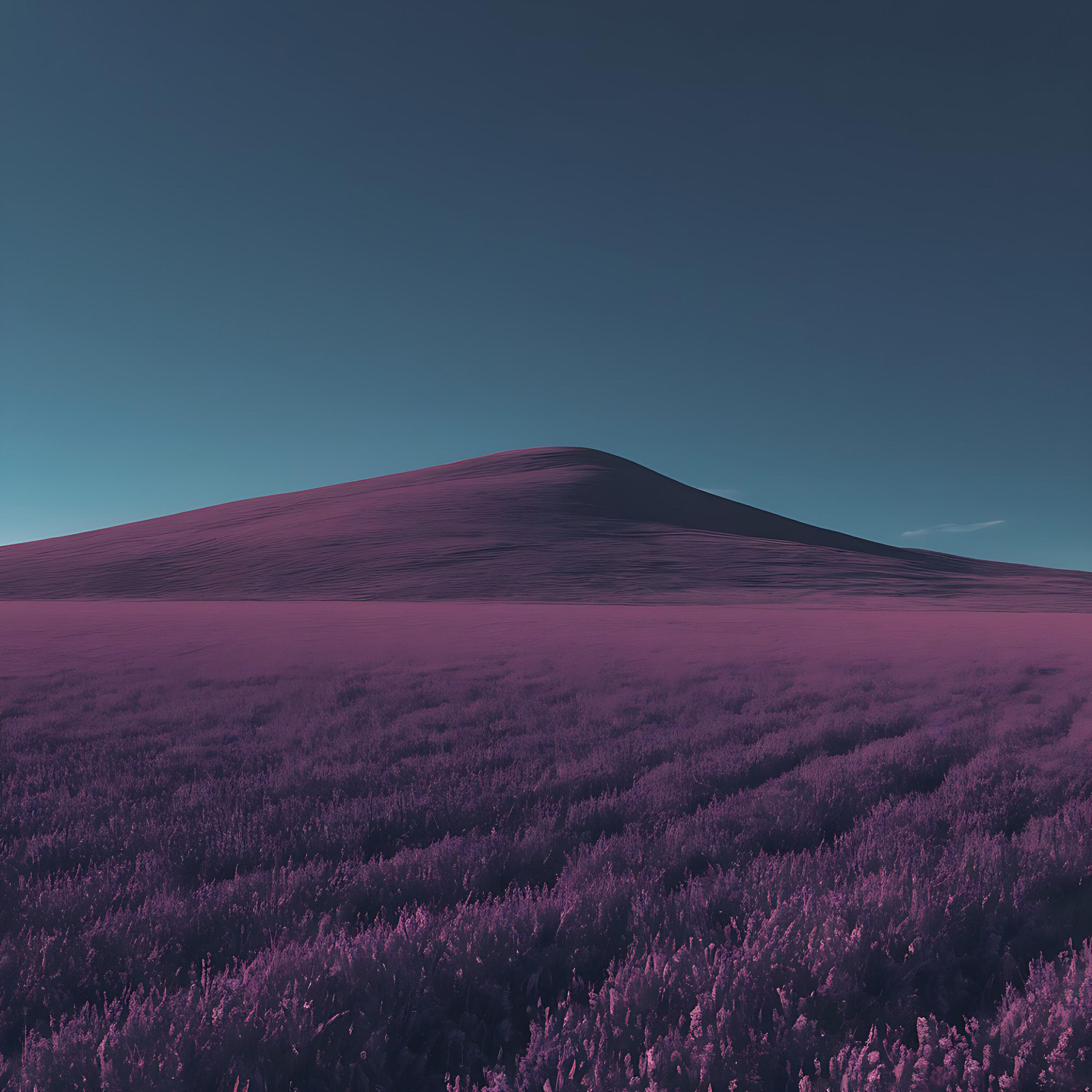 Релиз Lysyy 2