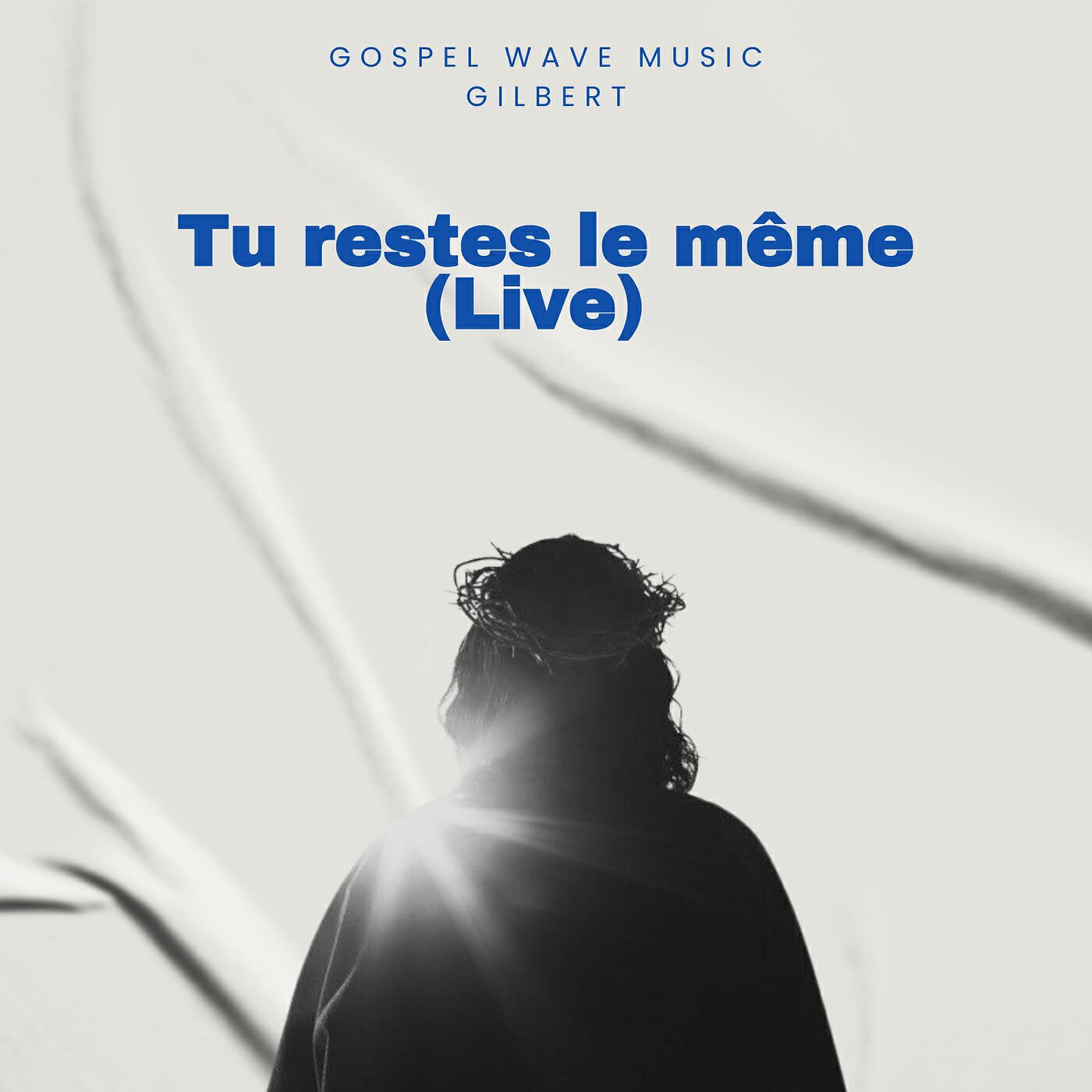 Релиз Tu restes le même (Live)