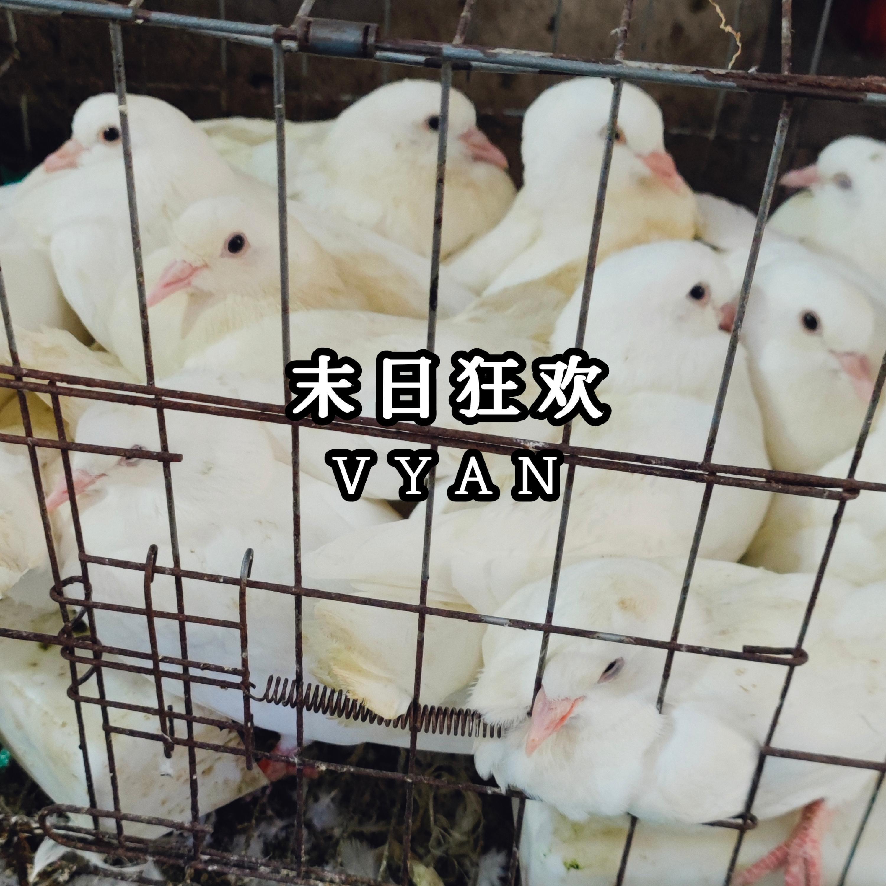 Релиз 末日狂欢