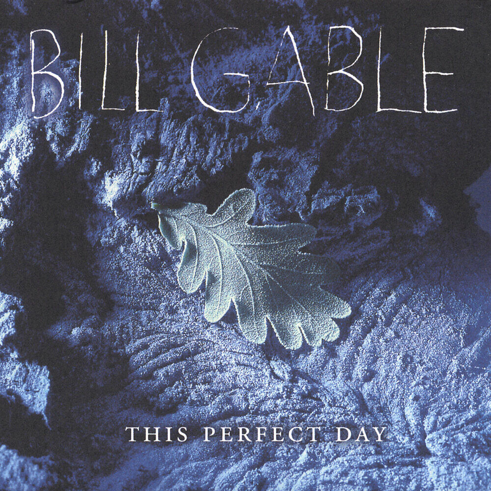 Релиз This Perfect Day