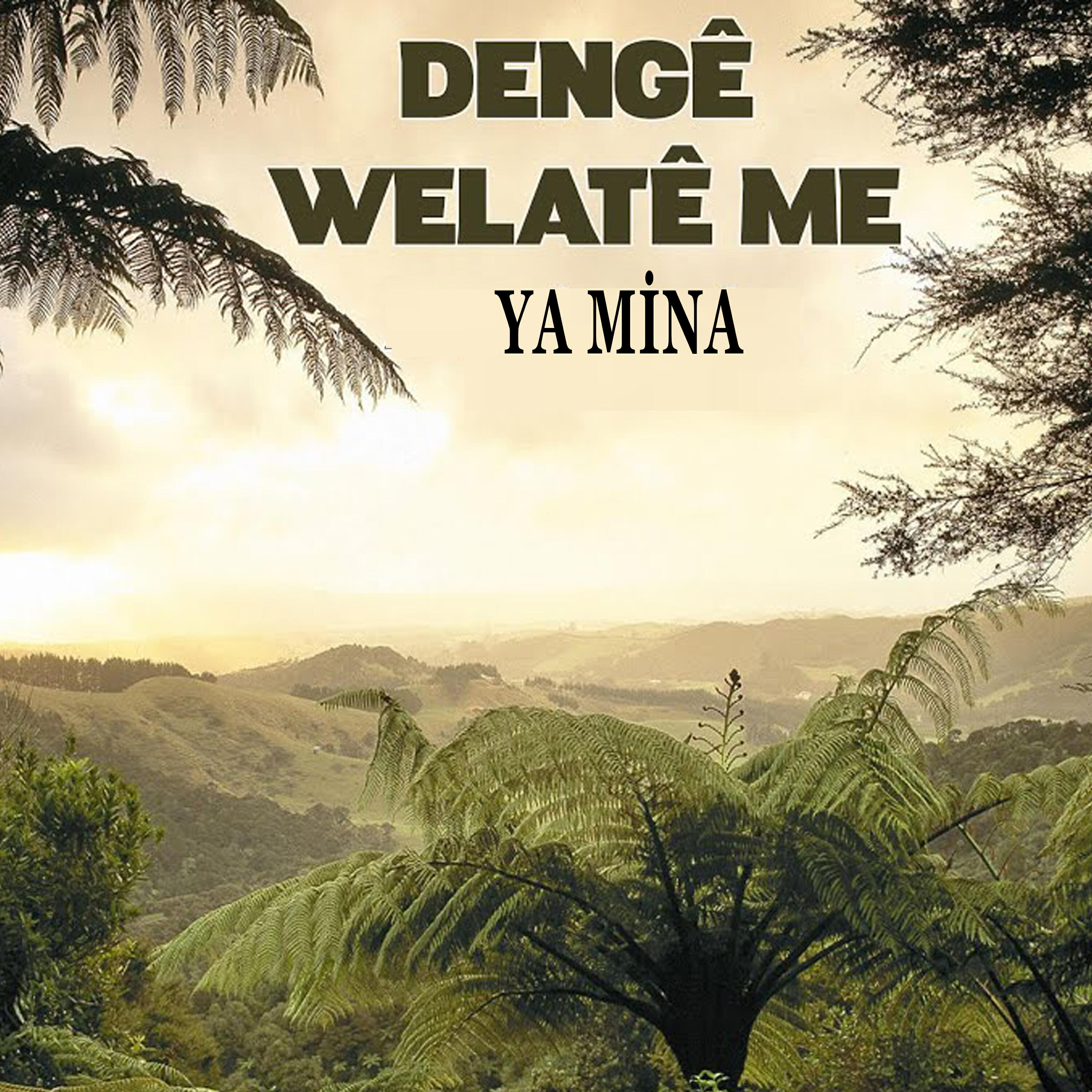 Релиз Ya Mina