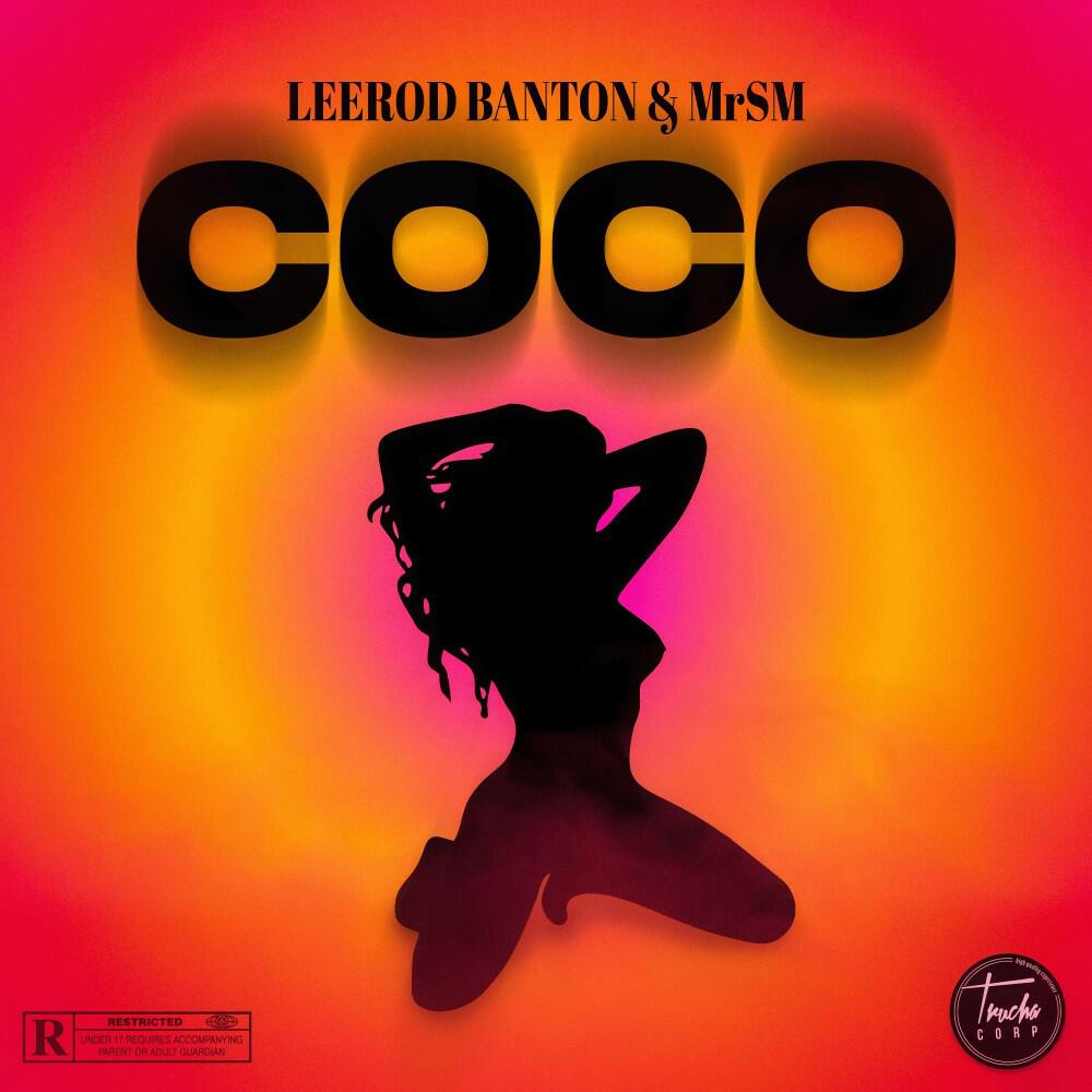 Релиз Coco