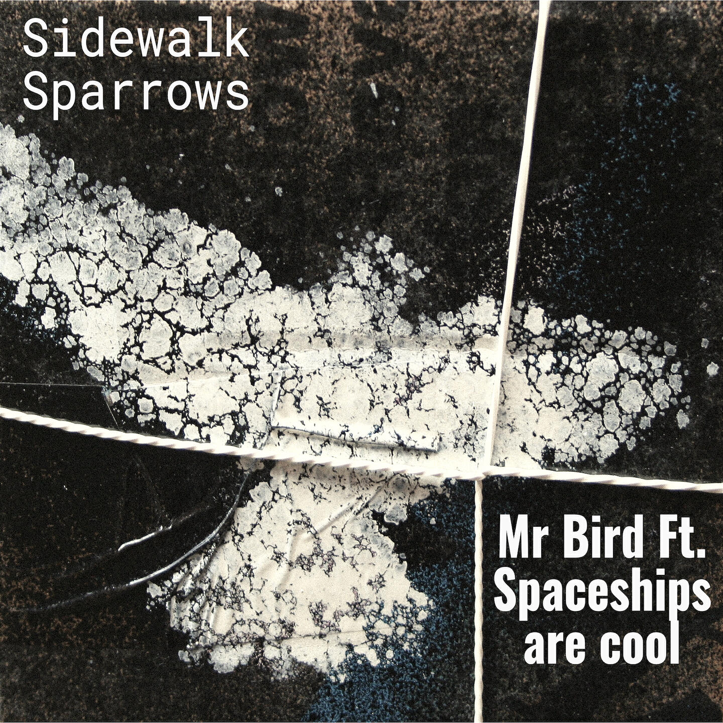 Релиз Sidewalk Sparrows