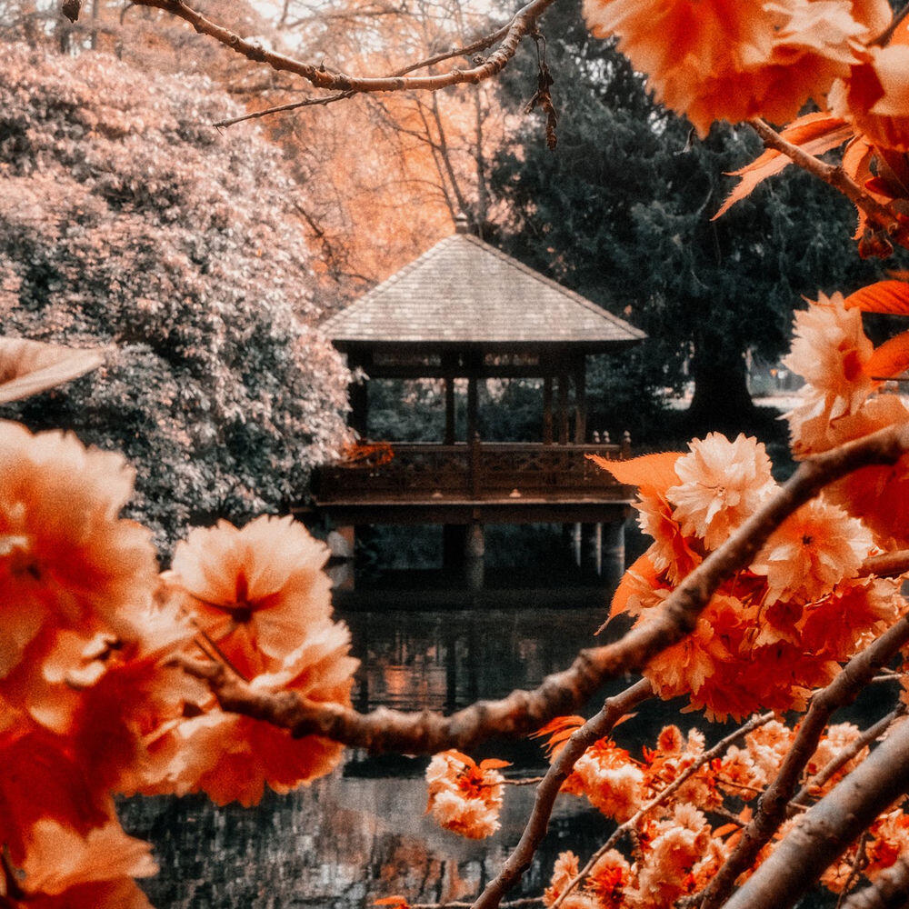 Релиз River House