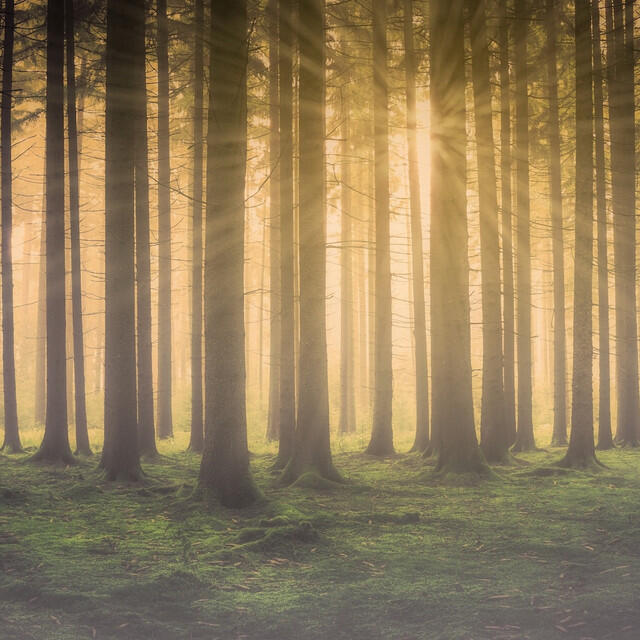 Релиз Pure Peaceful Chillout Mix - 100 Tracks for Channelling Your Inner Zen and Maximizing Your Calmness