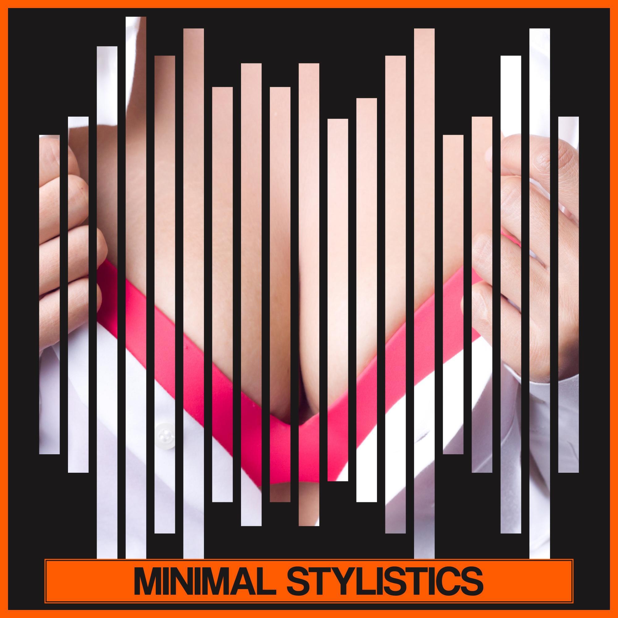 Релиз Minimal Stylistics