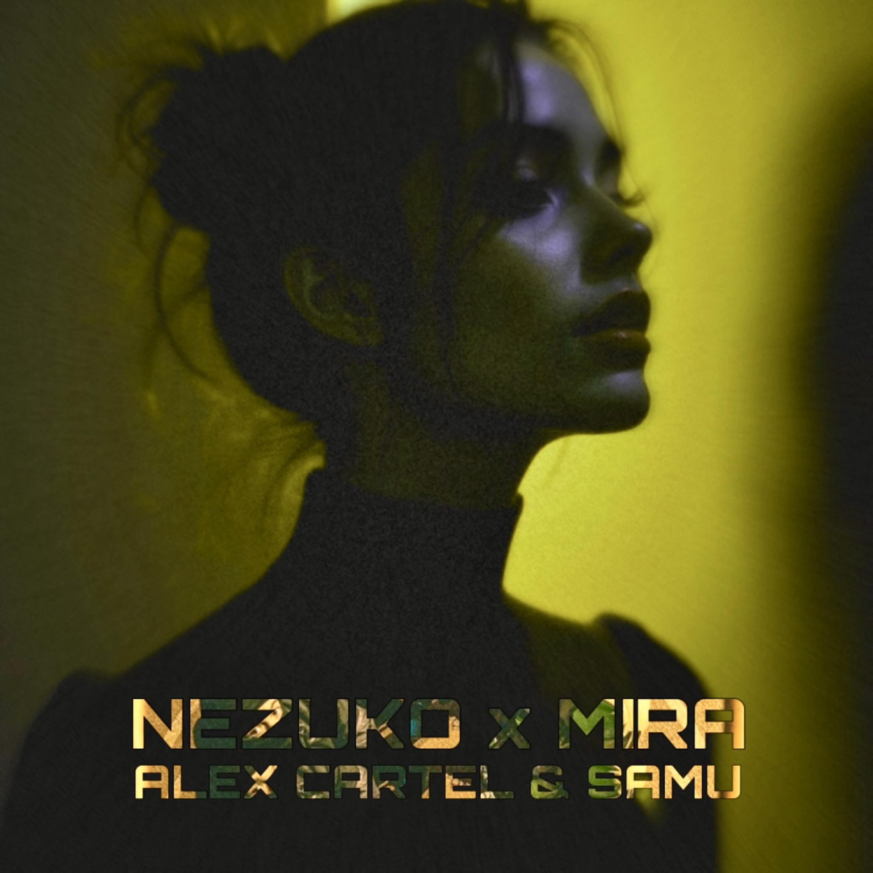 MIRA (1800142881)