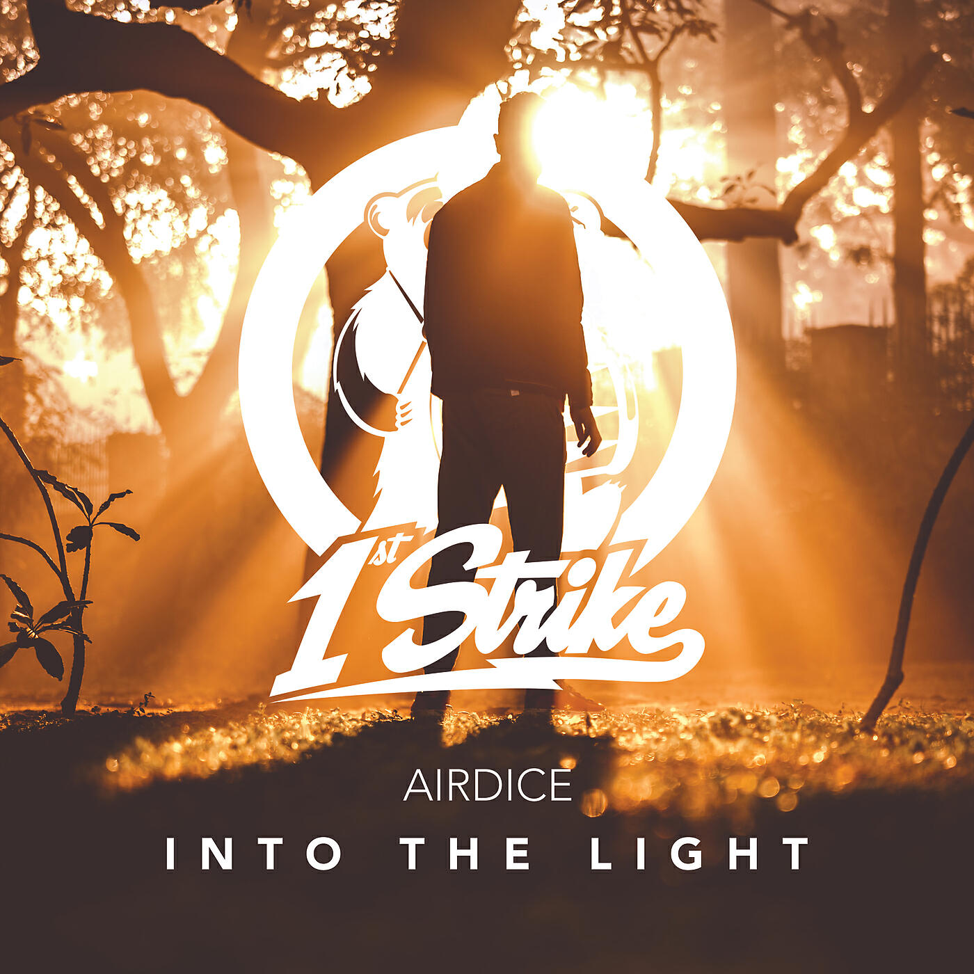 Постер альбома Into The Light