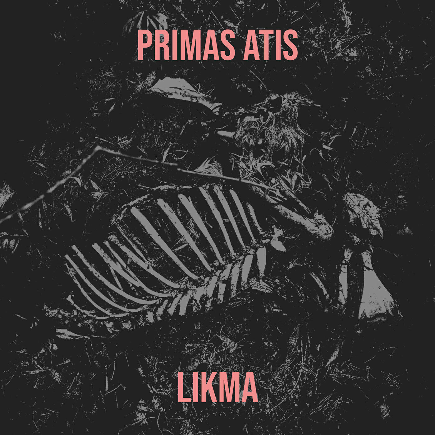 Релиз PRIMAS ATIS