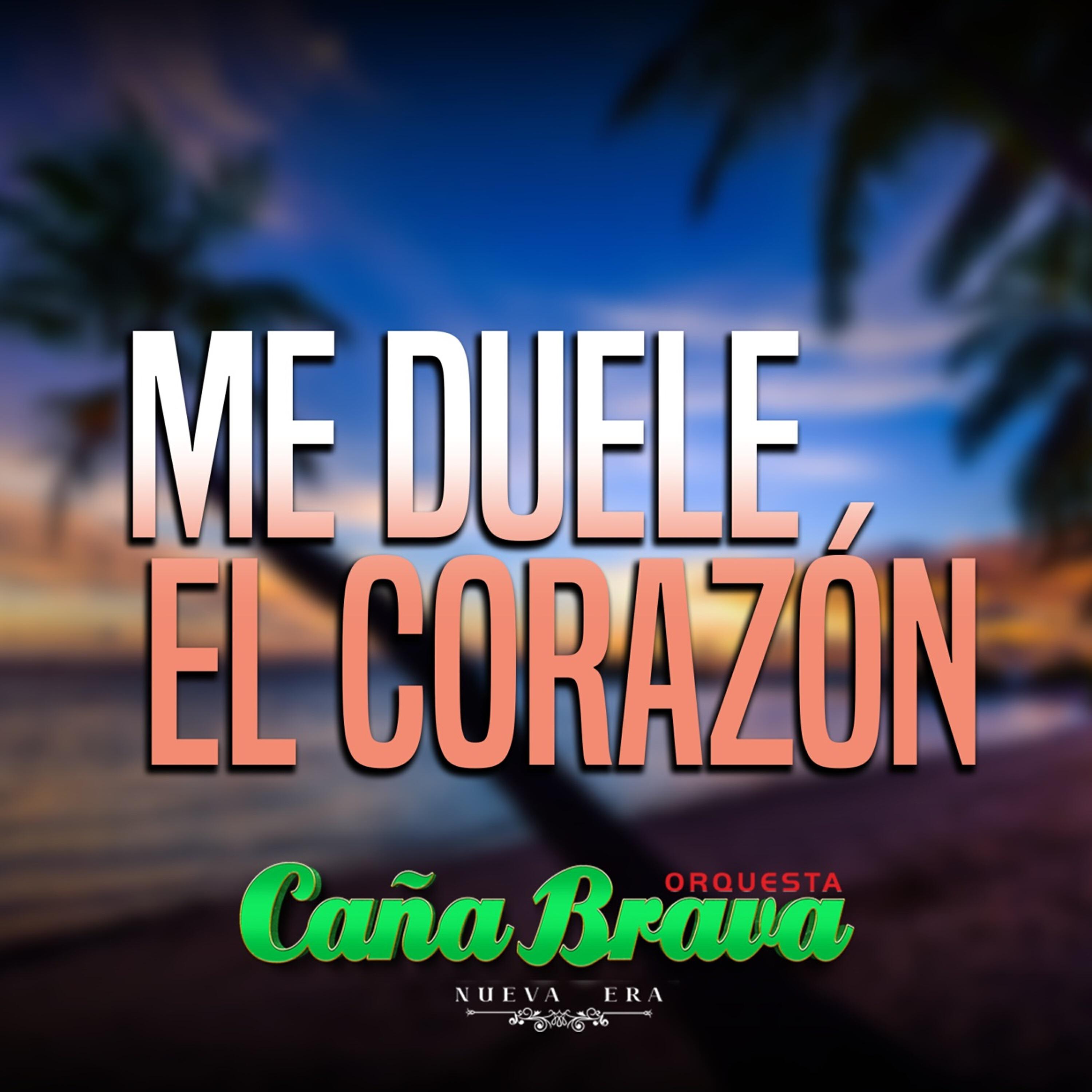 Релиз Me Duele el Corazón