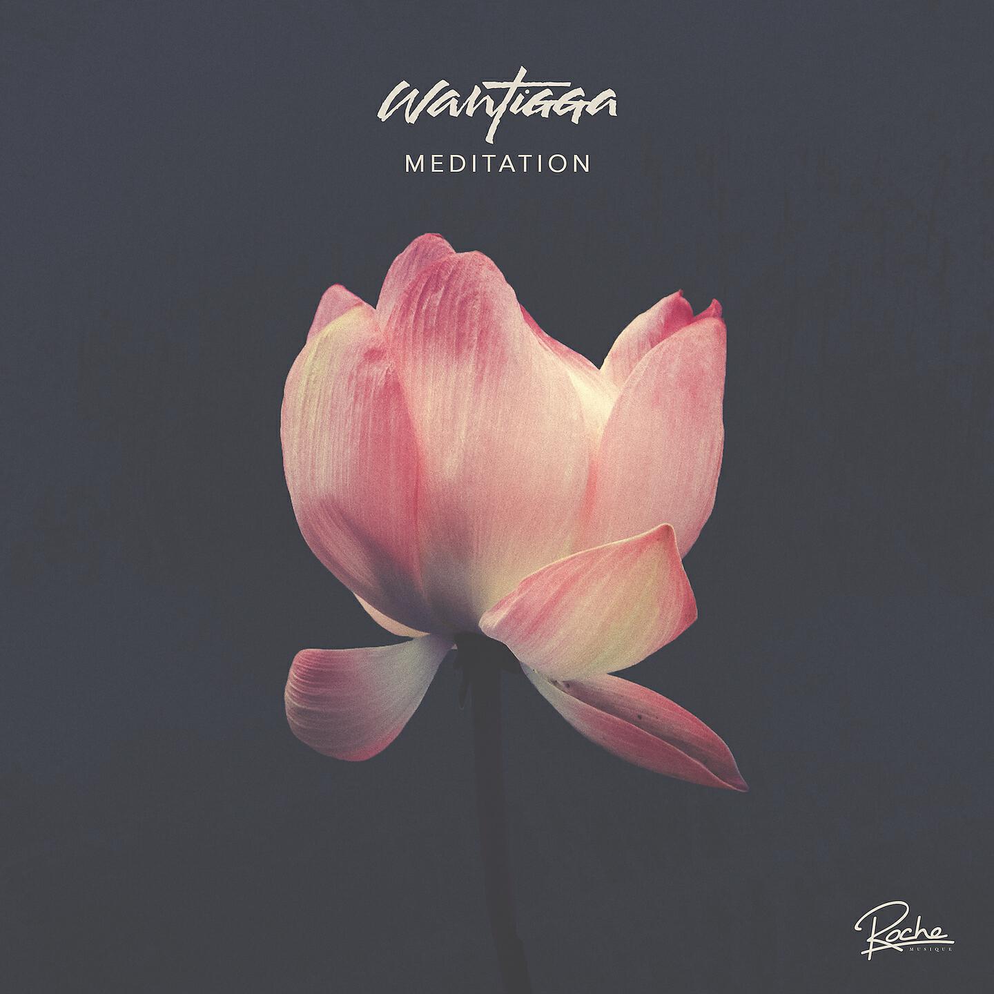 Релиз Meditation