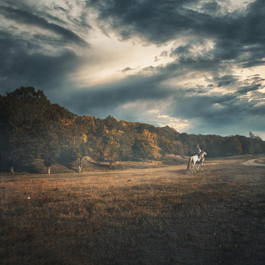 Волна по релизу