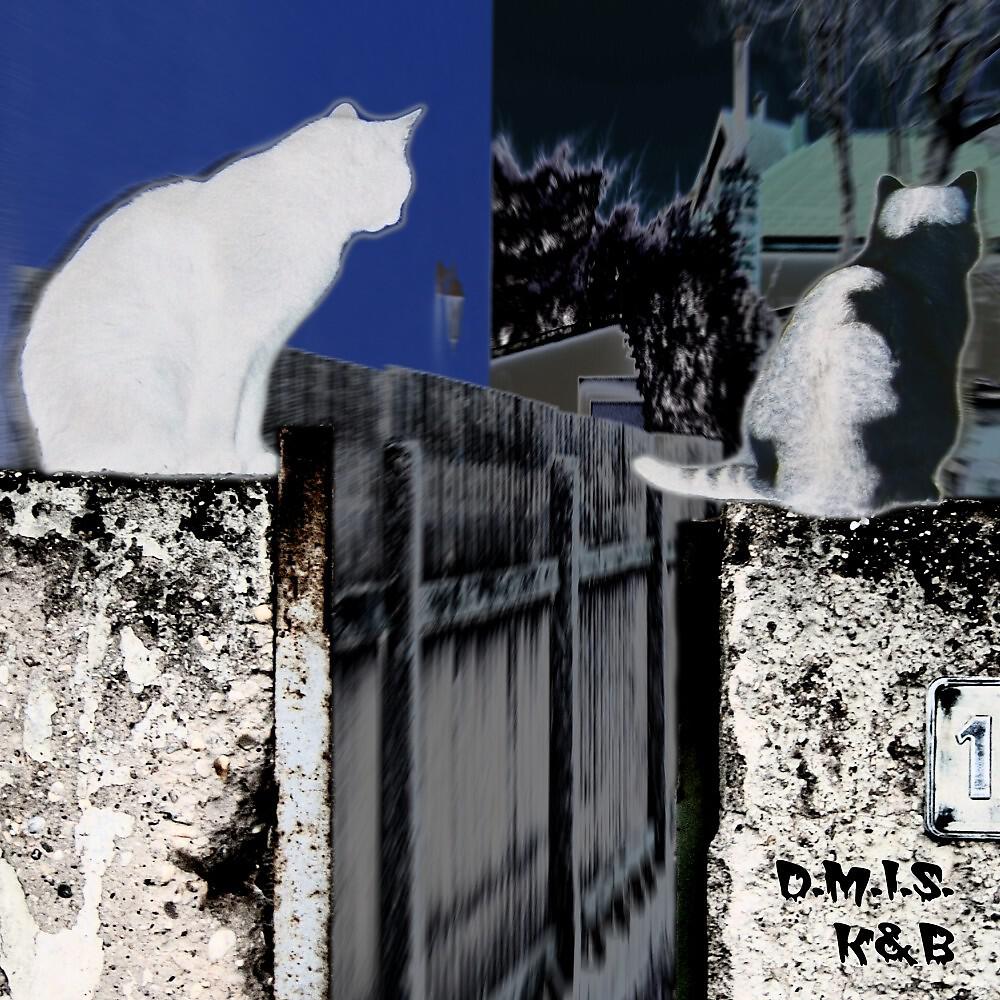 D.M.I.S.