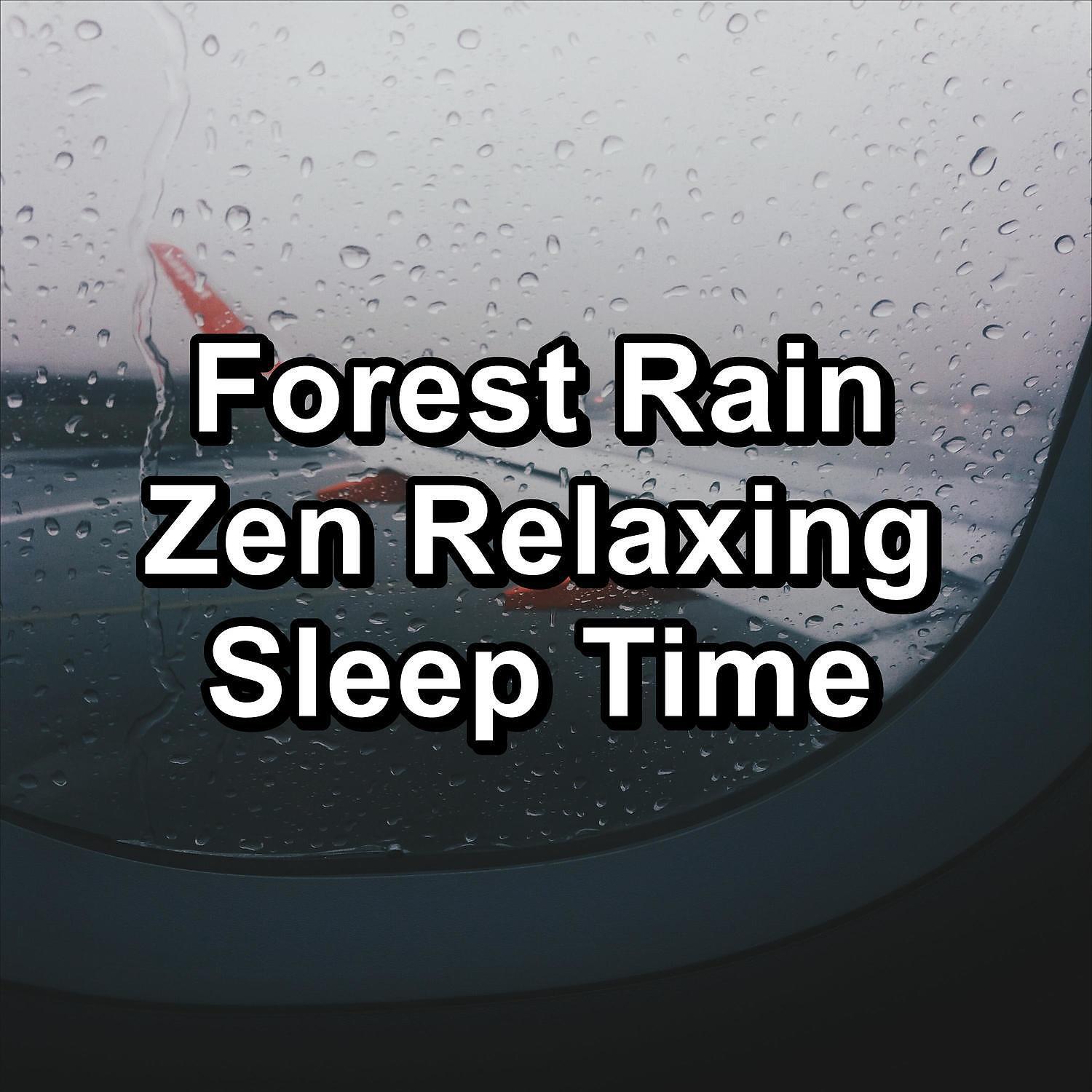 Релиз Forest Rain Zen Relaxing Sleep Time