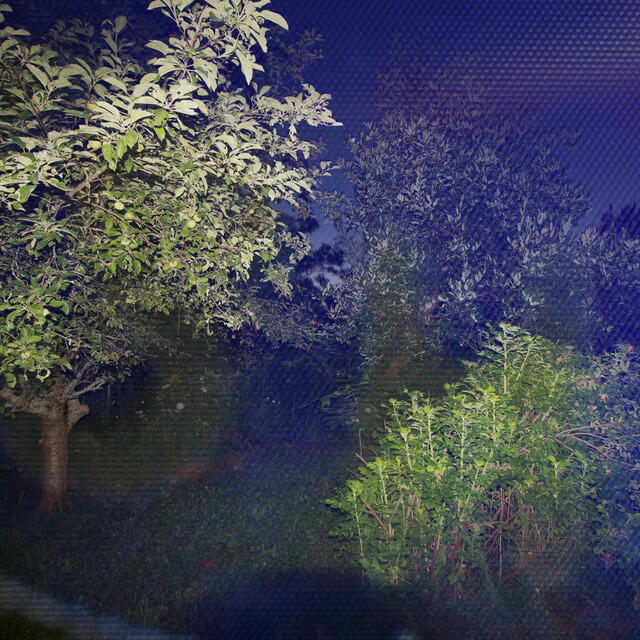 Релиз Crooked Tree