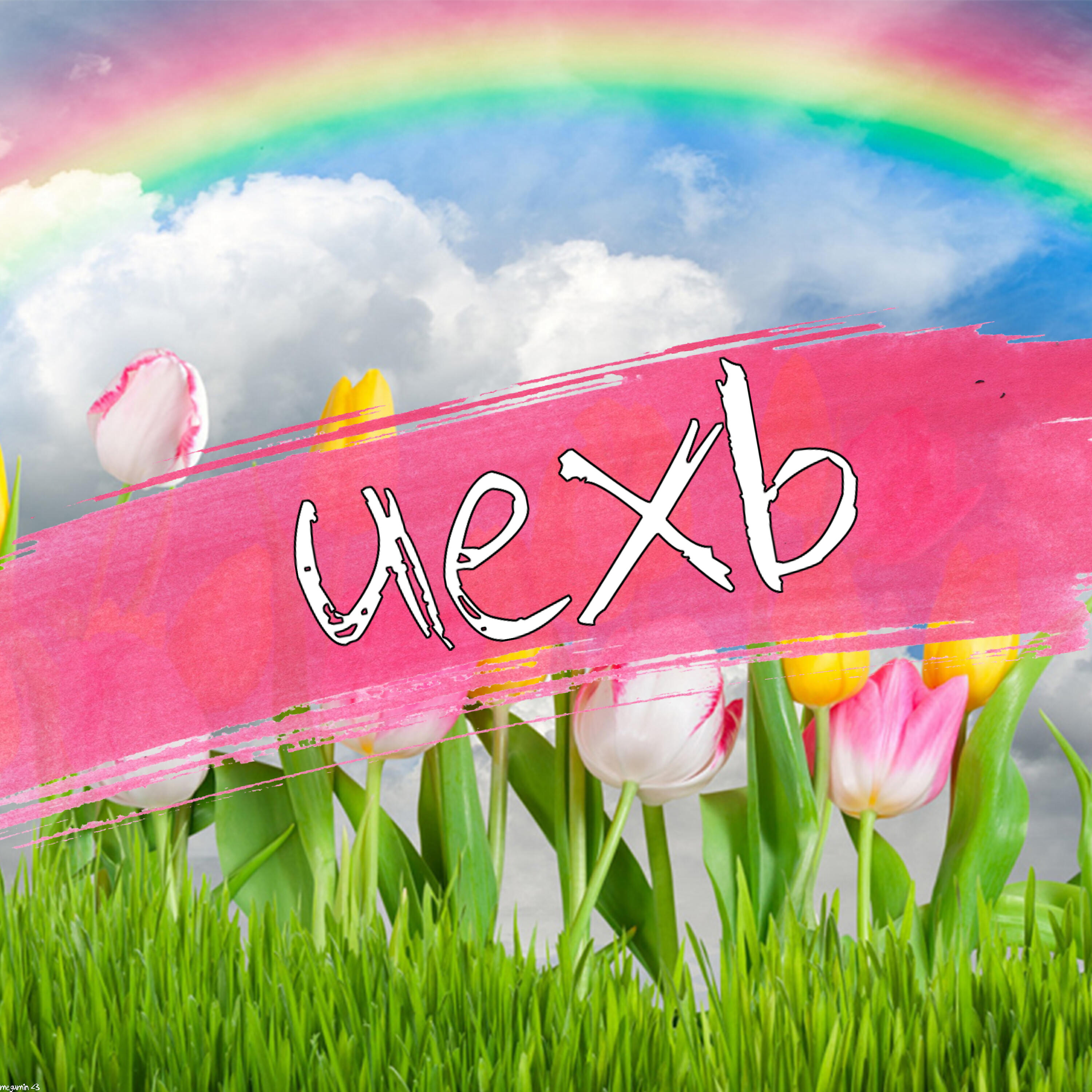 uexb