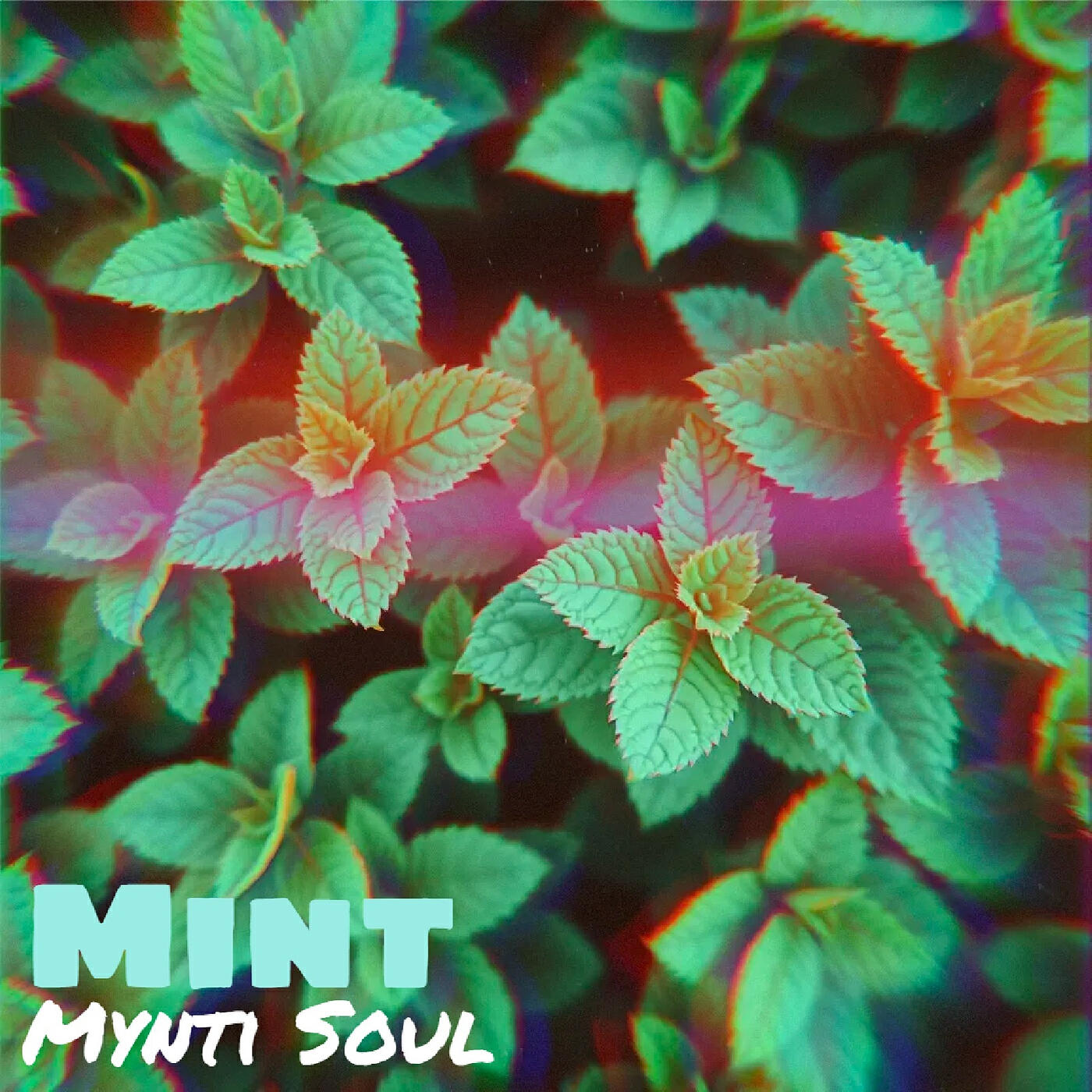 Релиз Mint
