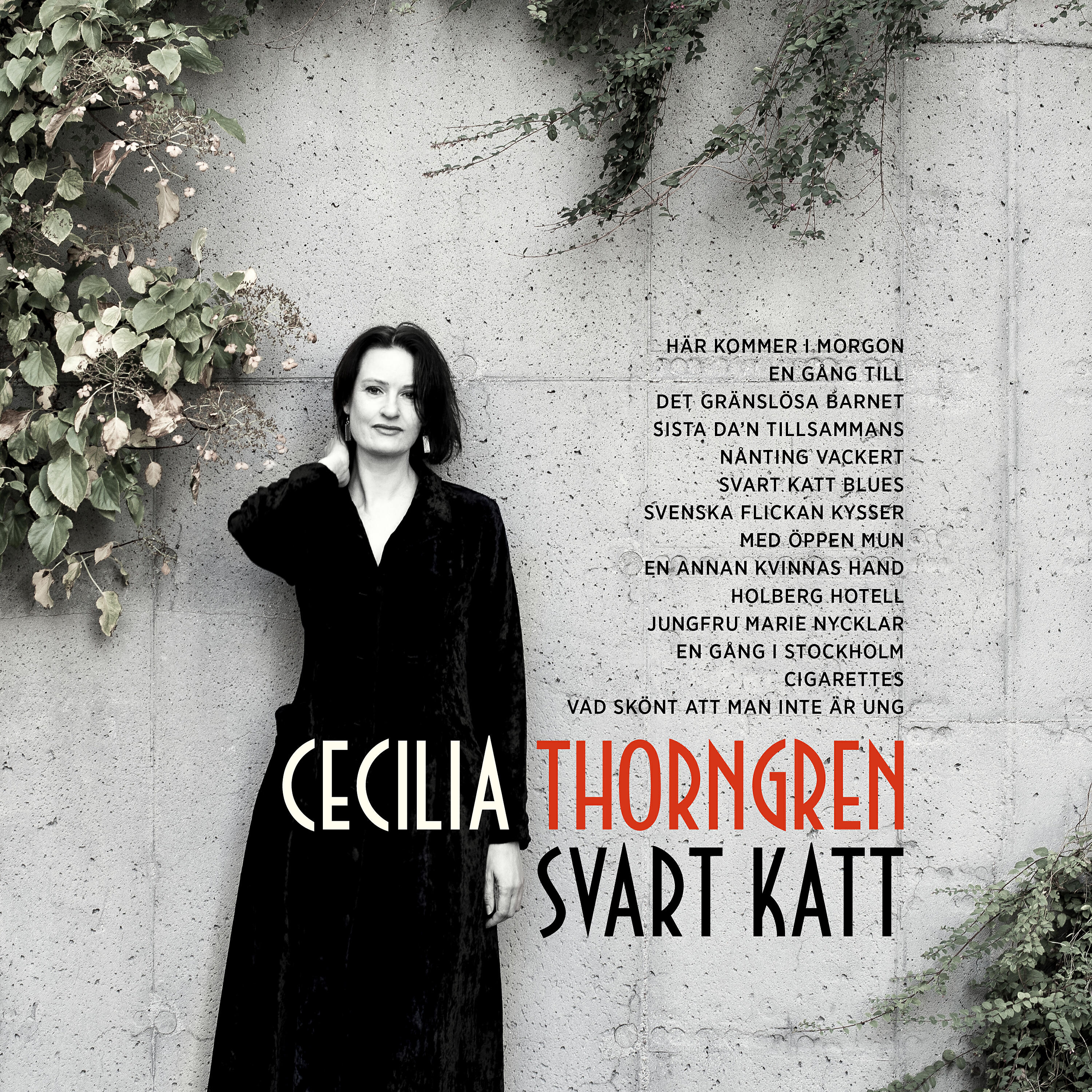 Релиз Svart katt