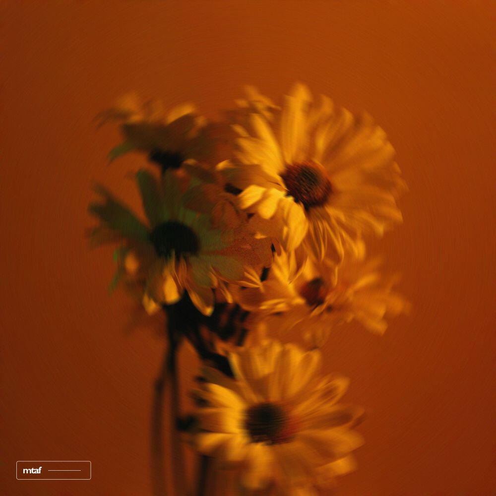 Релиз Save Me