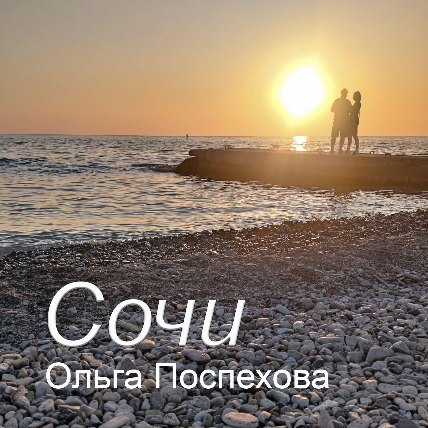 Релиз Сочи