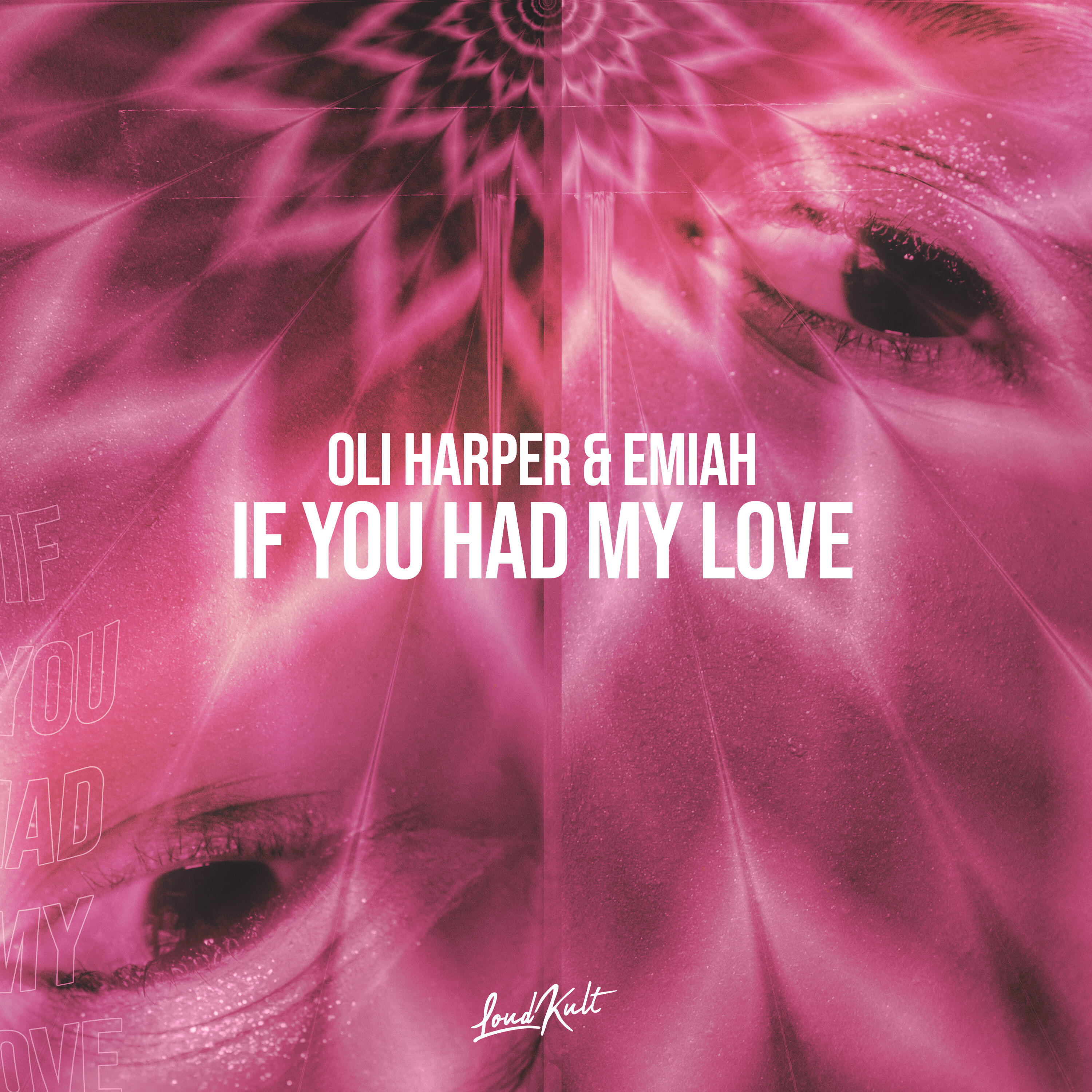 Постер альбома If You Had My Love