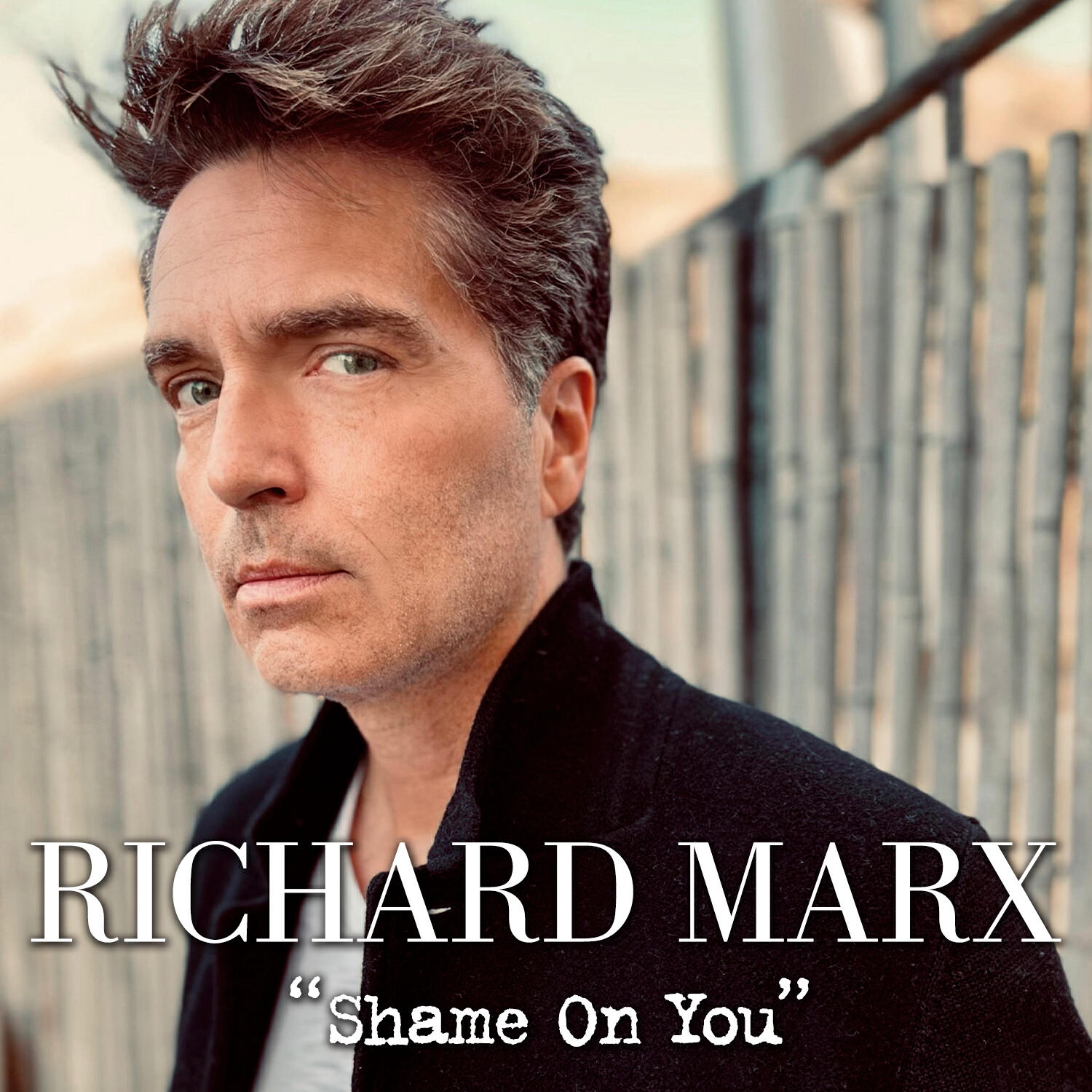 Релиз Shame On You