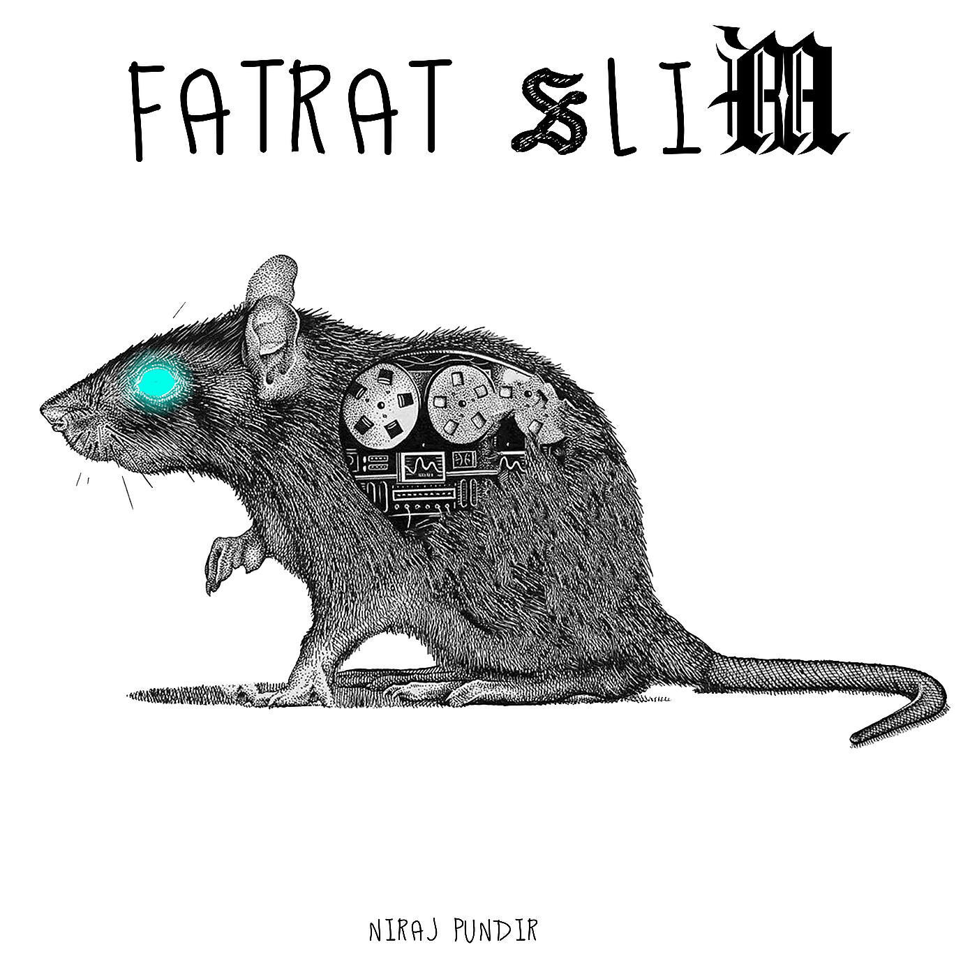 Релиз FatRat Slim