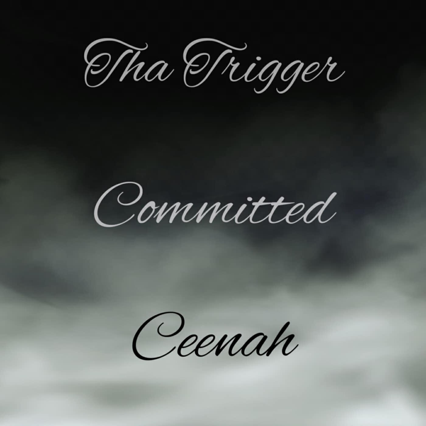 Релиз Commited