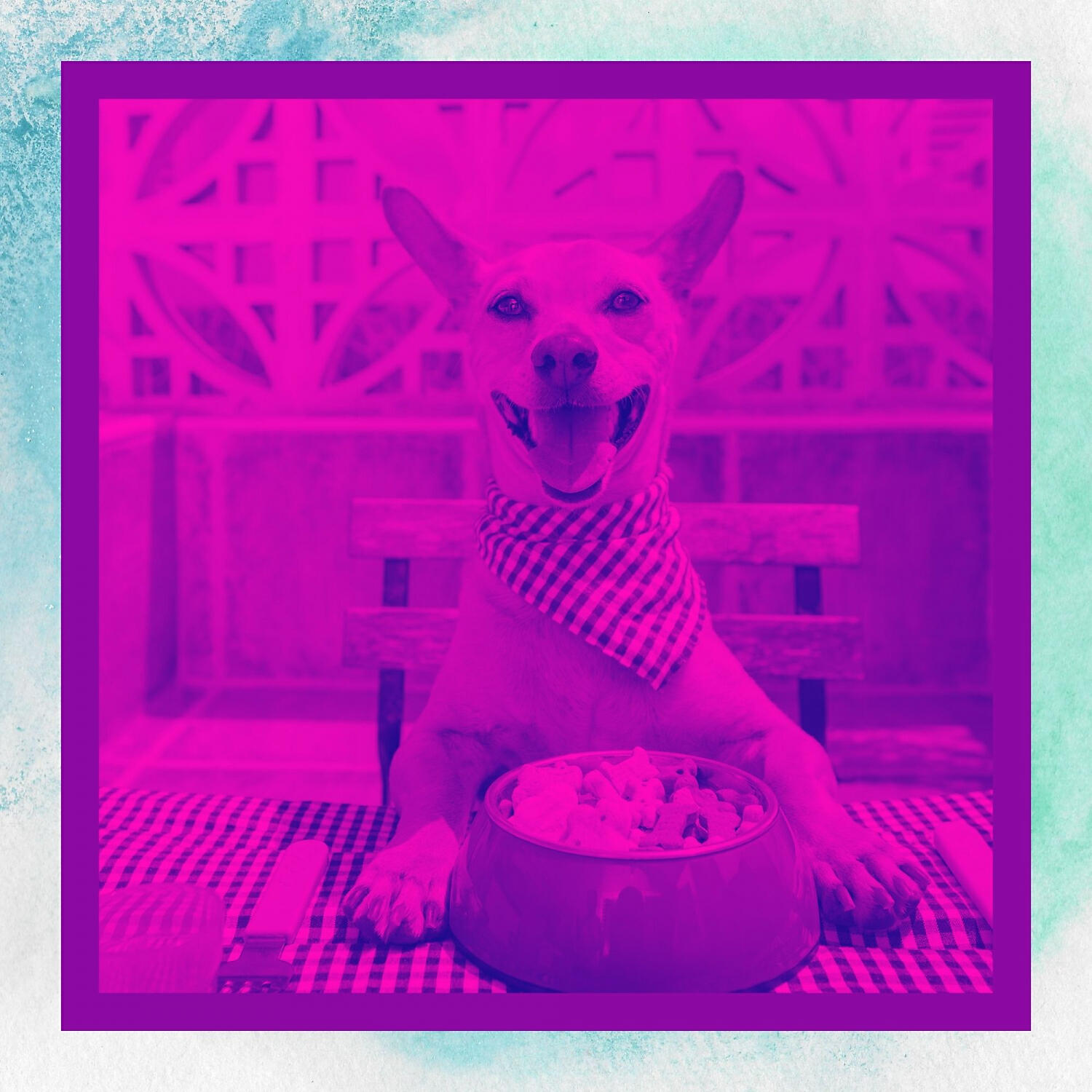 Релиз Acoustic Guitar Solo - Music for Doggy Naptime