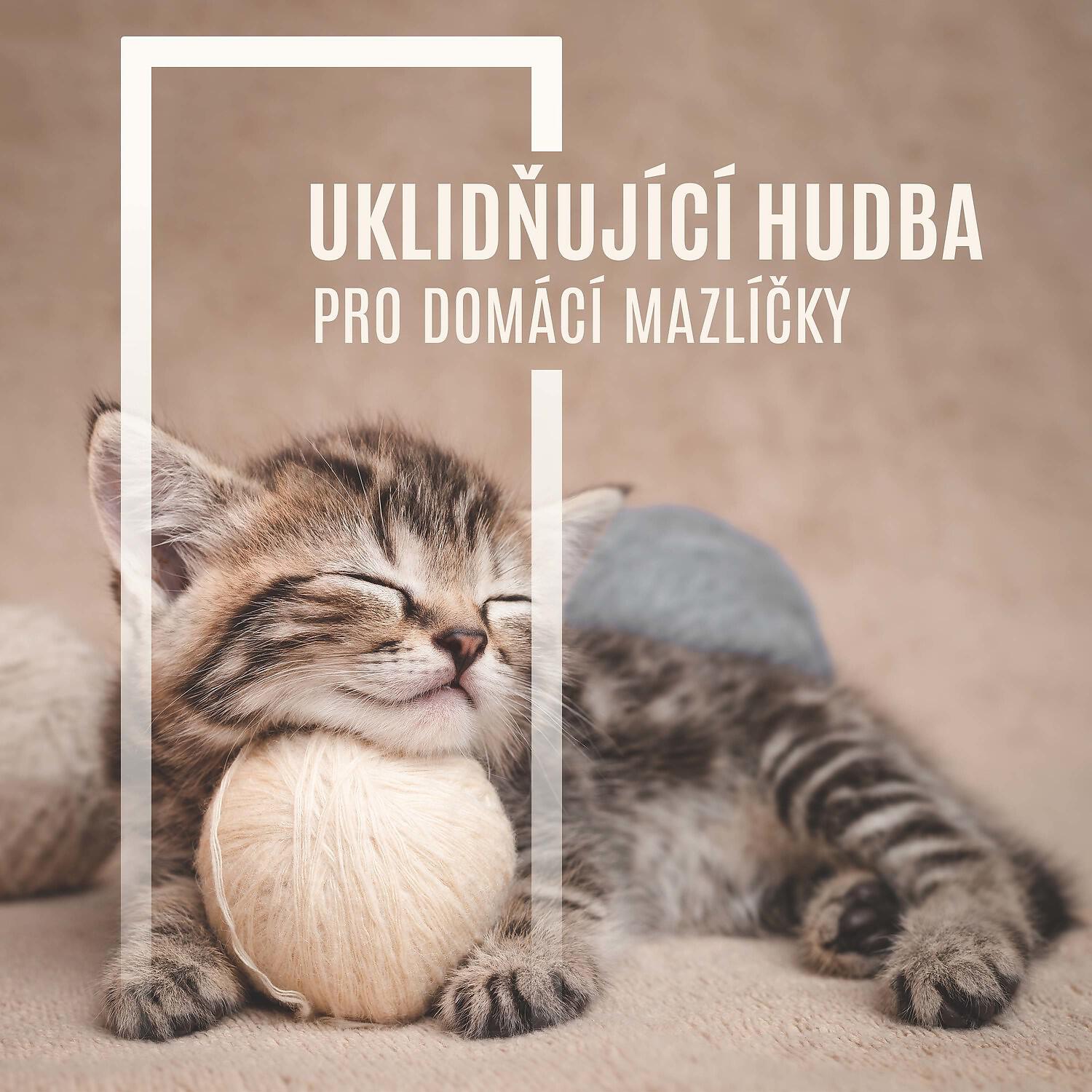 Релиз Uklidňující Hudba pro Domácí Mazlíčky