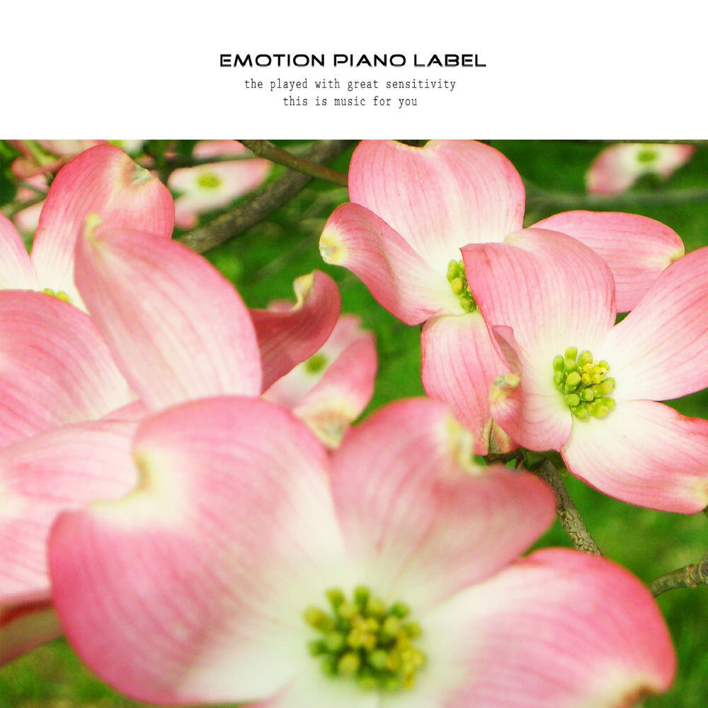 Релиз Piano for love preaching