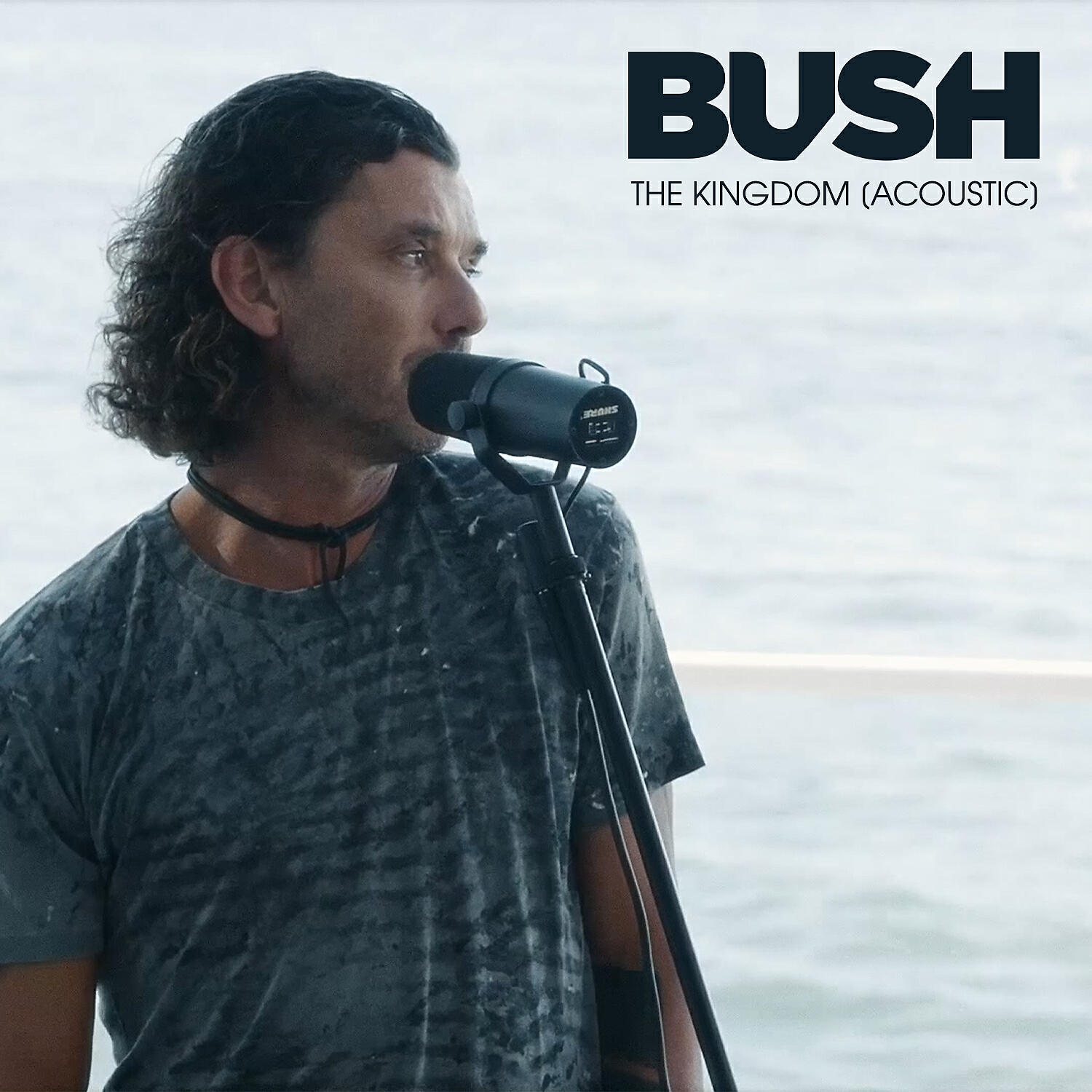 Релиз The Kingdom (Acoustic)