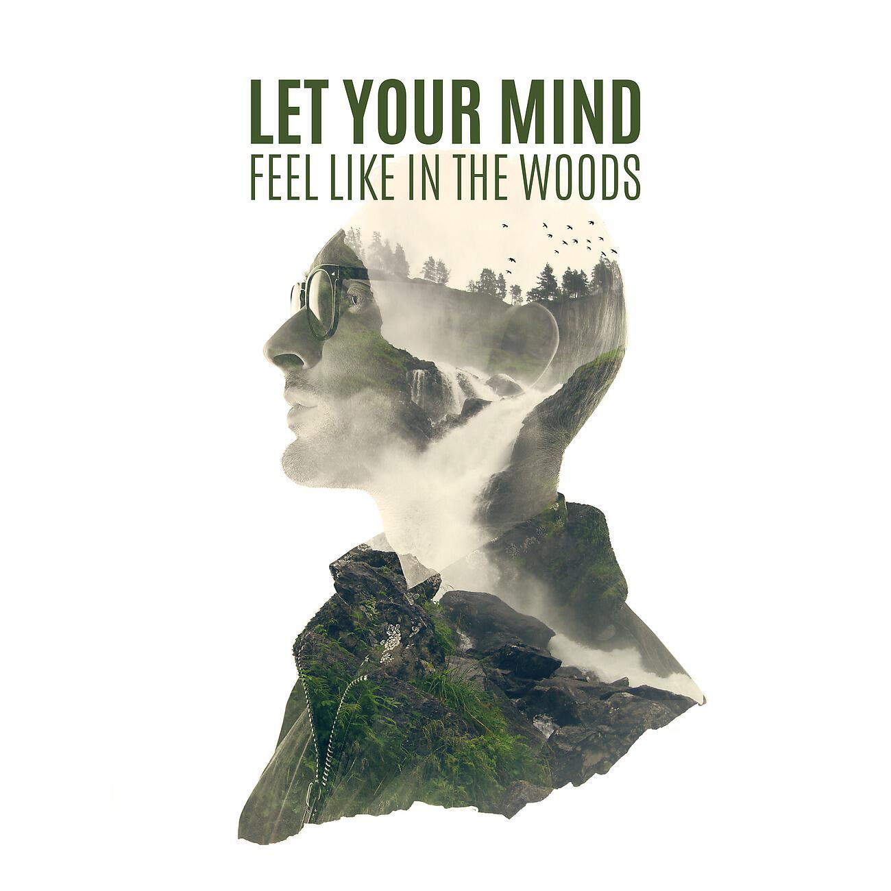 Релиз Let Your Mind Feel Like in the Woods (Relax After Work, Meditation, Relief, Calmness)