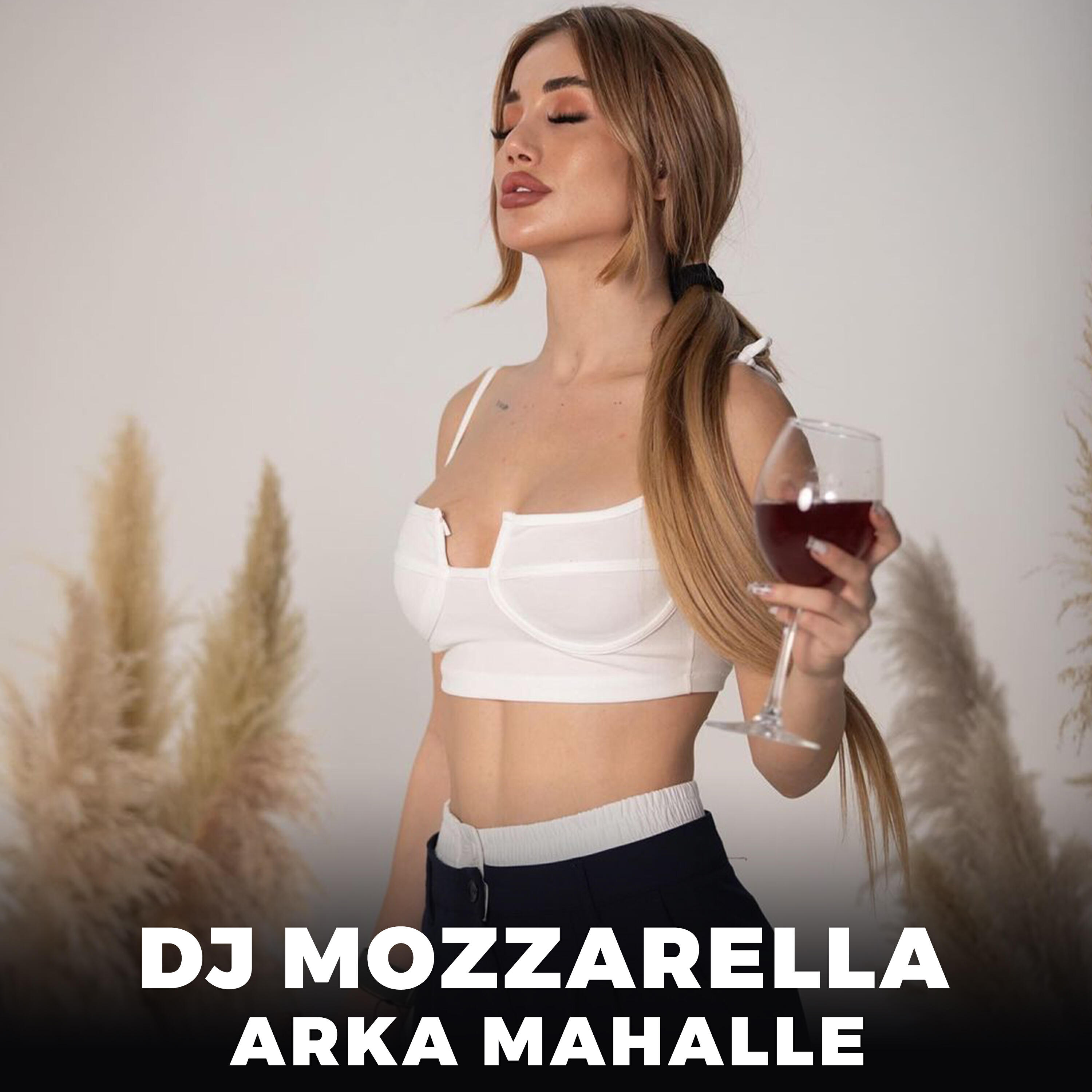 Релиз Arka Mahalle