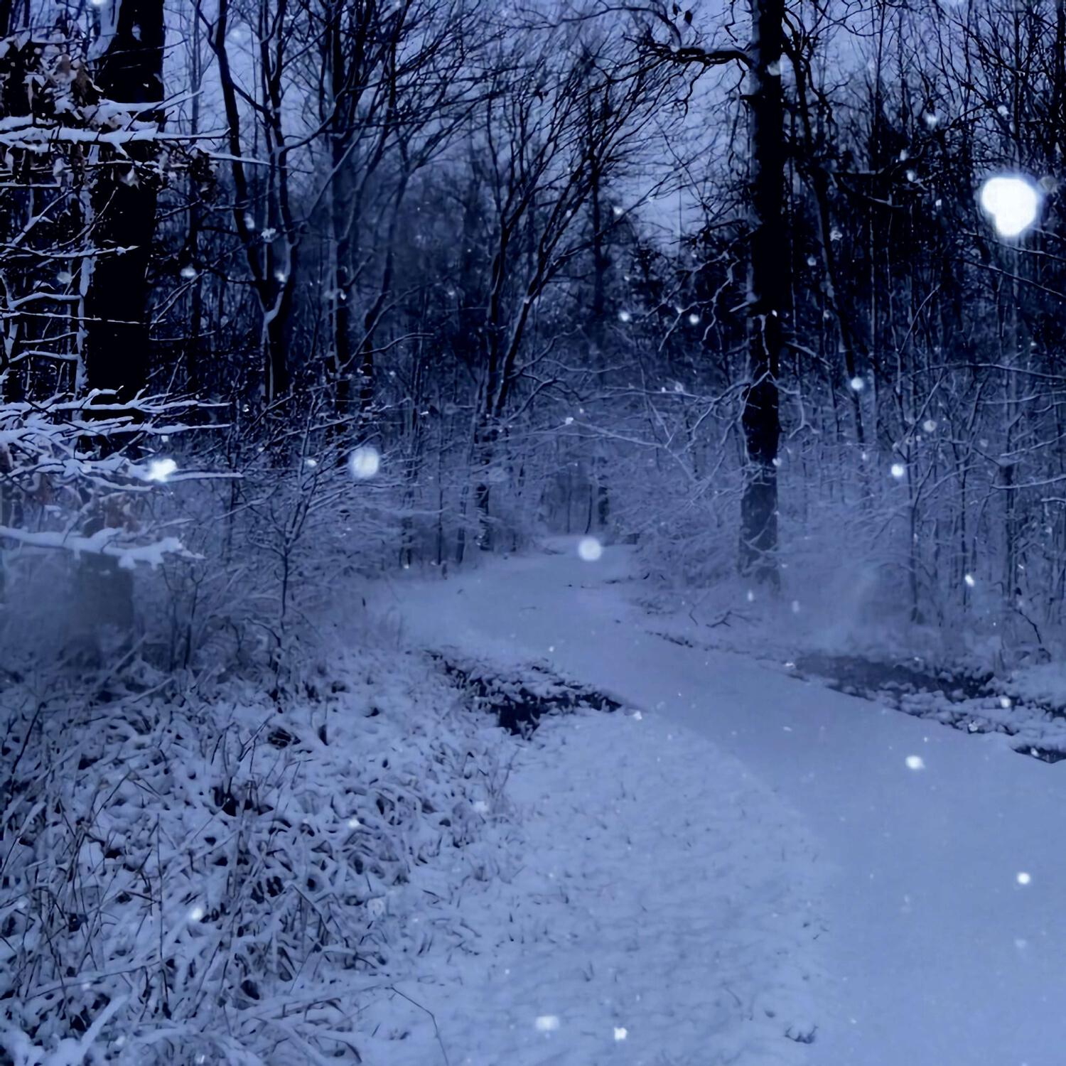 Релиз northern forest slowed