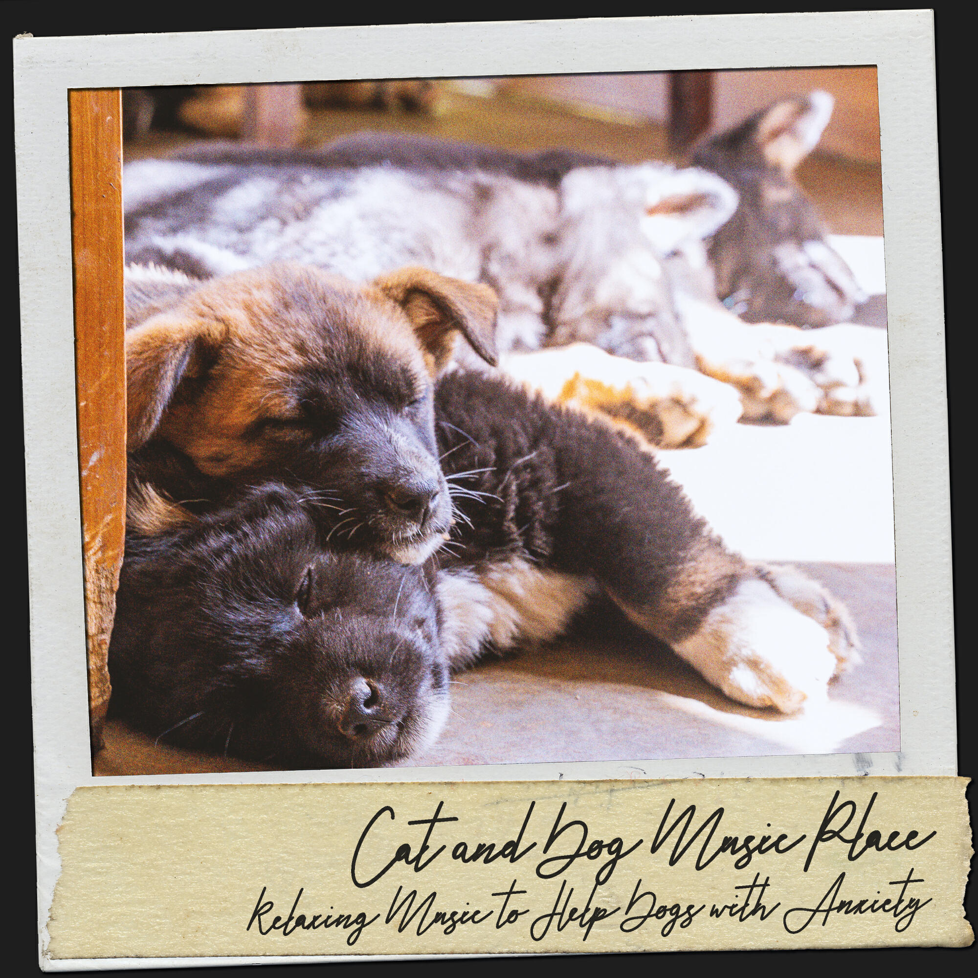 Релиз Cat and Dog Music Place: Relaxing Music to Help Dogs with Anxiety