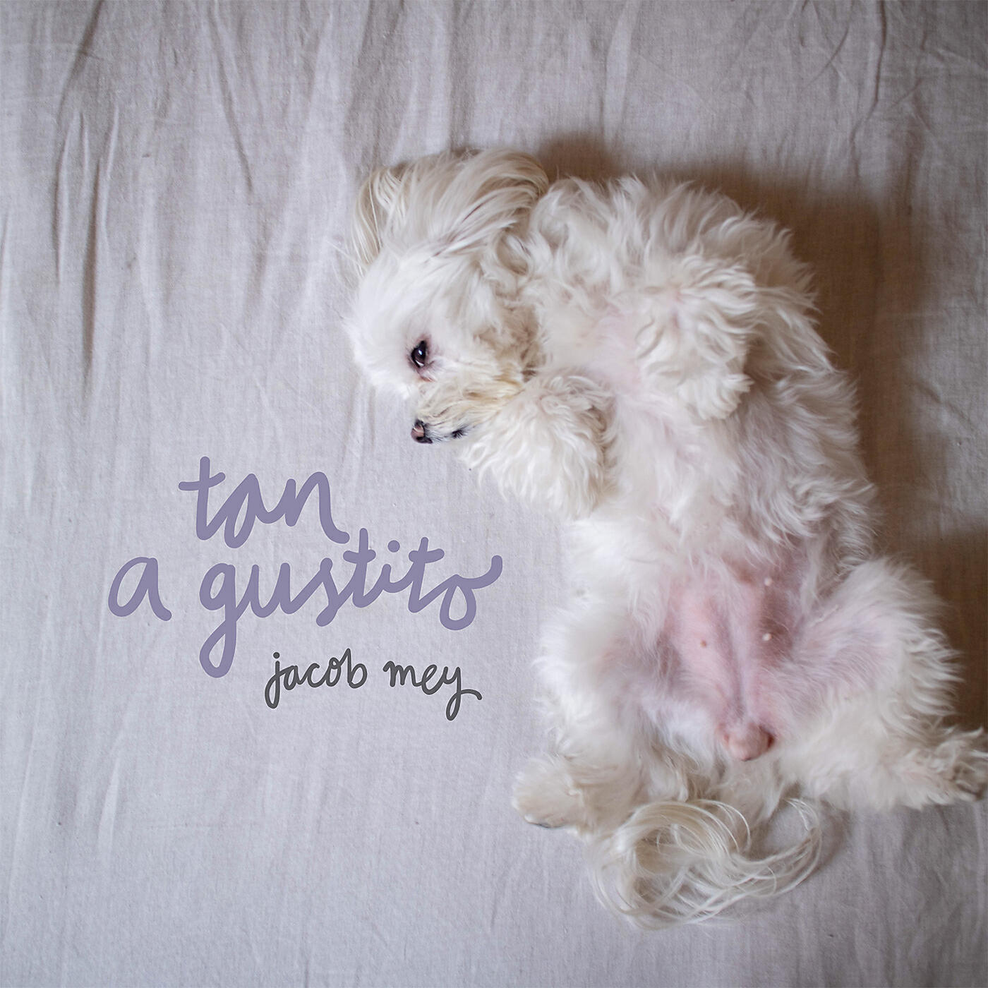 Релиз Tan a gustito