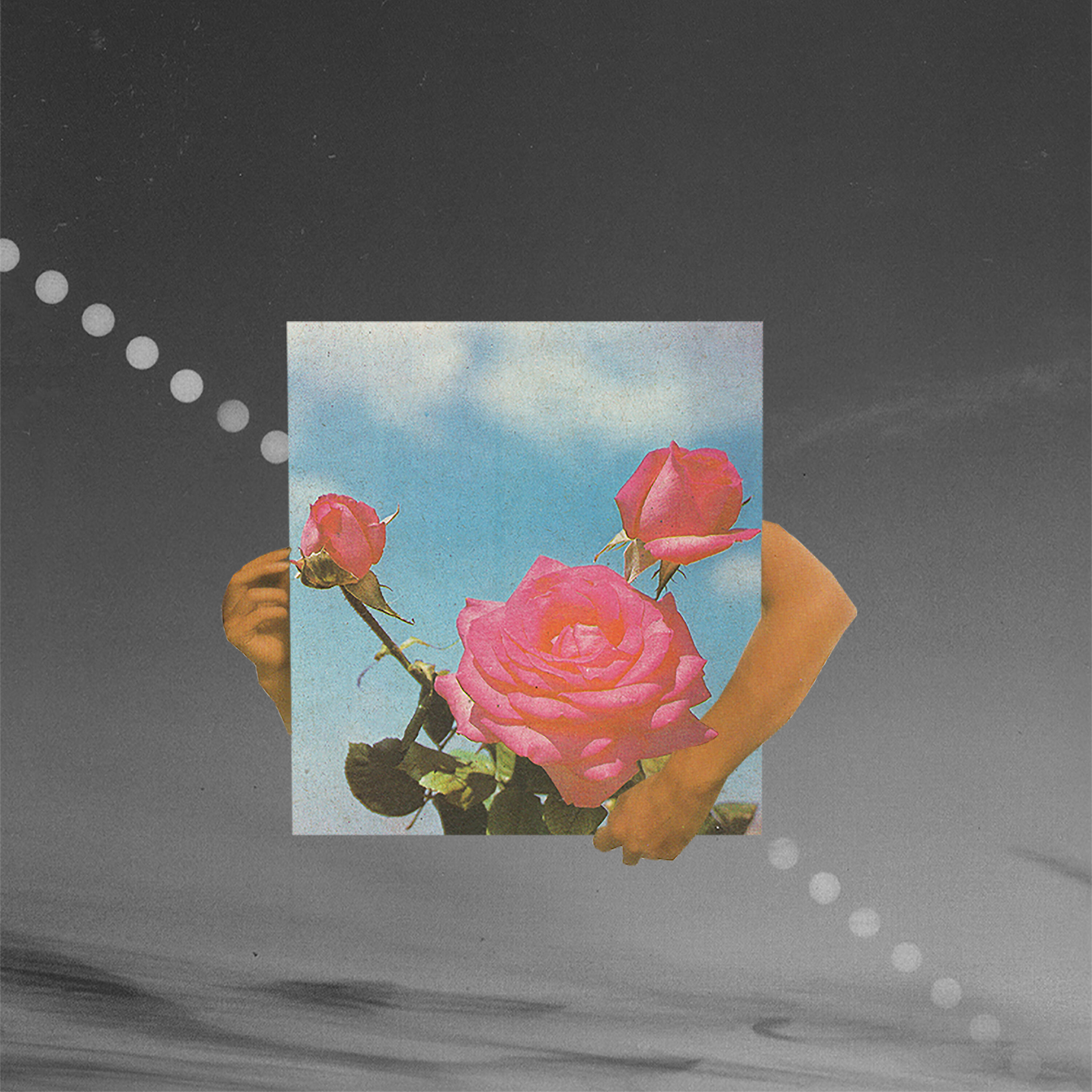 Постер альбома Petals, Vol. 1