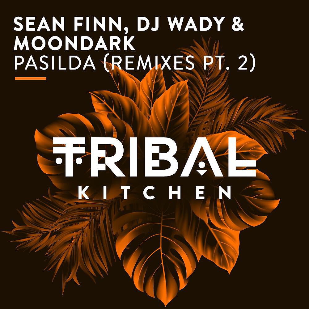 Скачать песню Sean Finn, DJ Wady, MoonDark - Pasilda (DJ Wady & Moondark Radio Edit) бесплатно в MP3 для Android и iOS