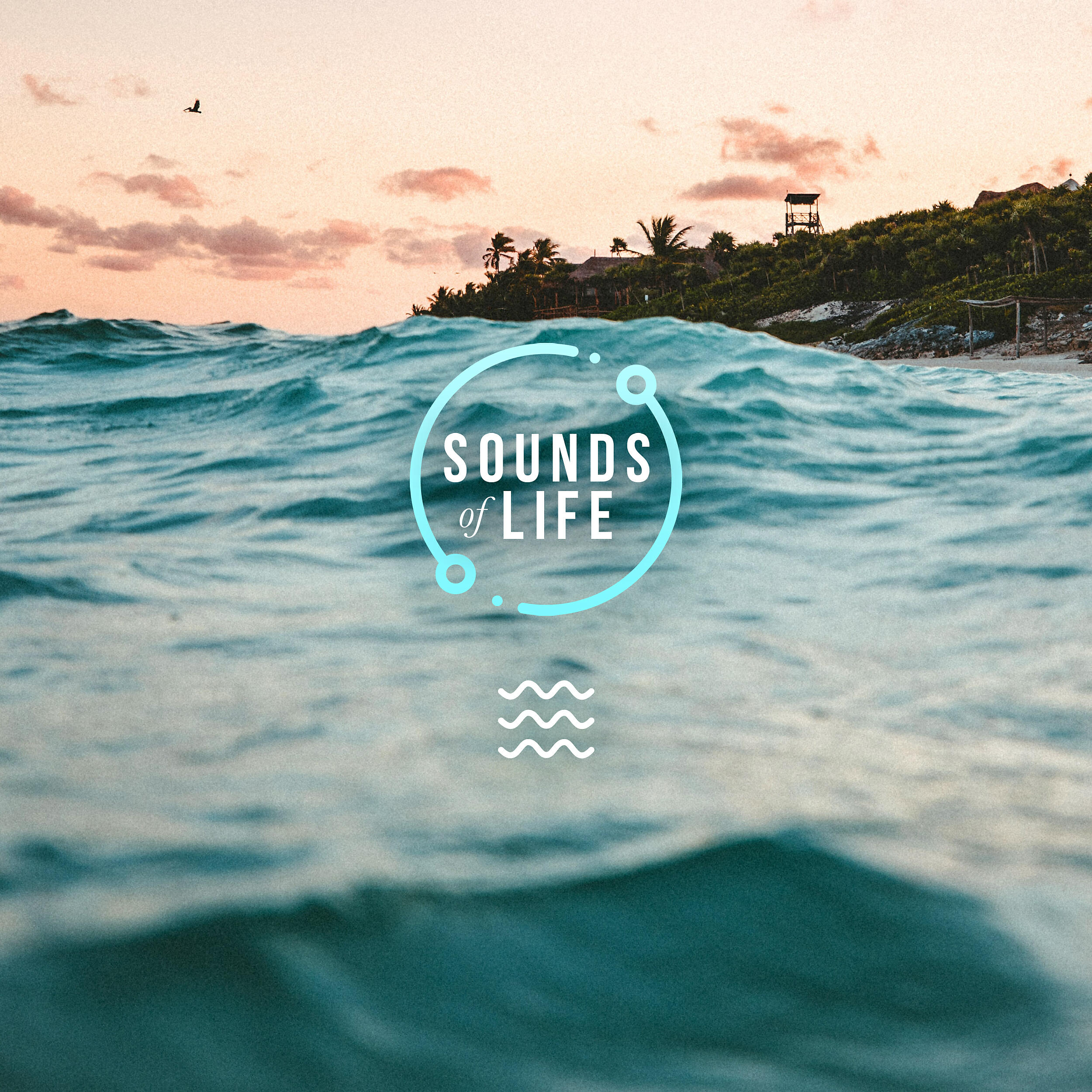 Релиз Beach Waves and Heavy Winds