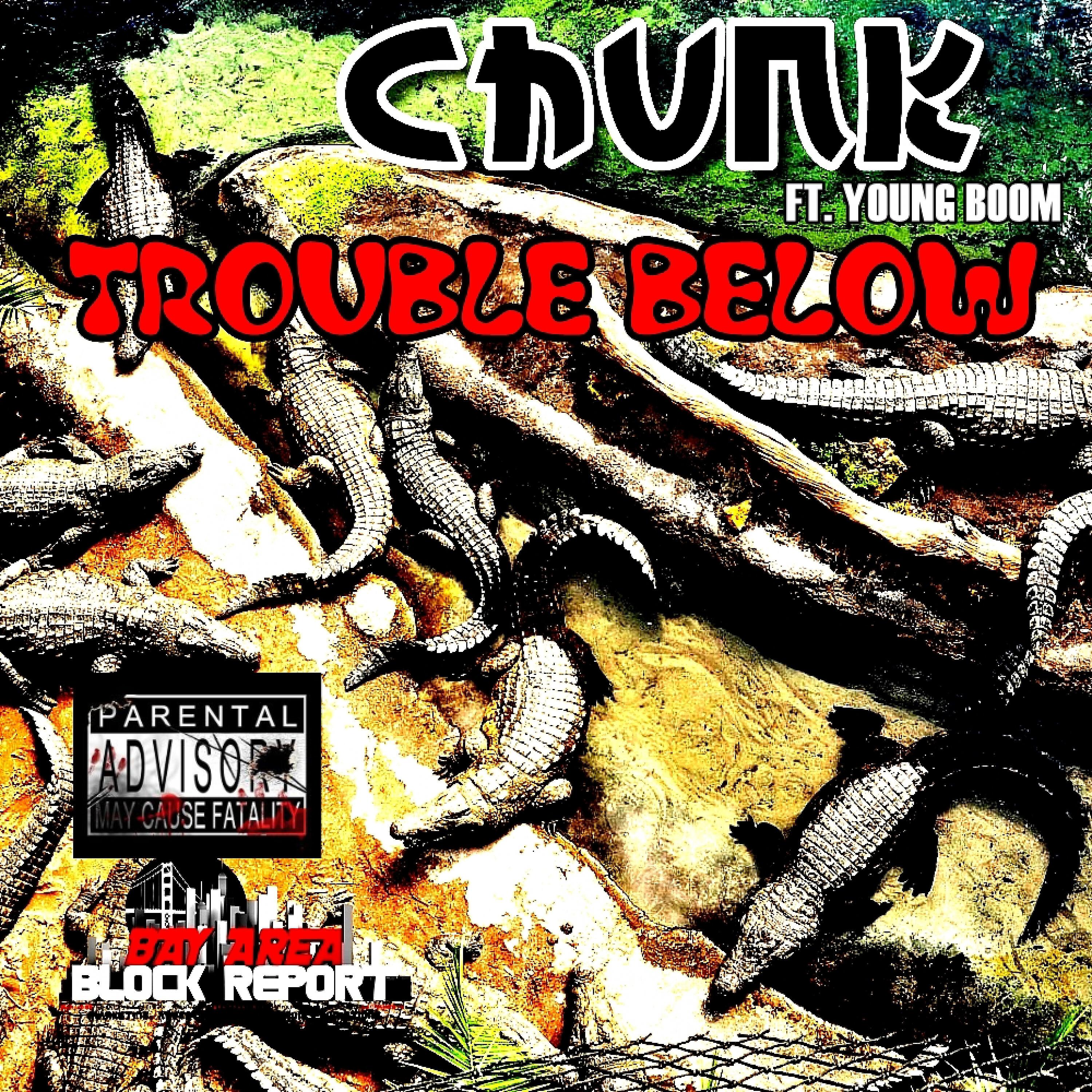 Релиз Trouble Below (feat. Young Boom) - Single