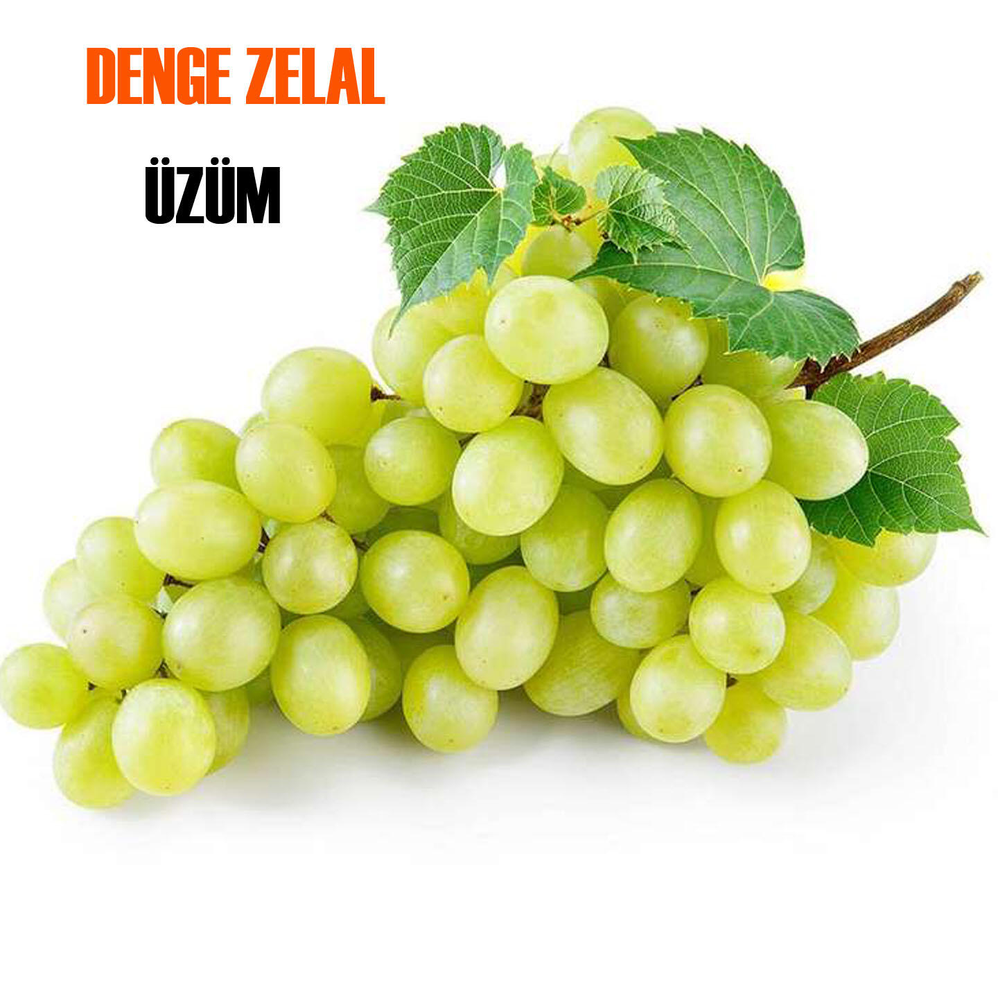 Релиз Üzüm